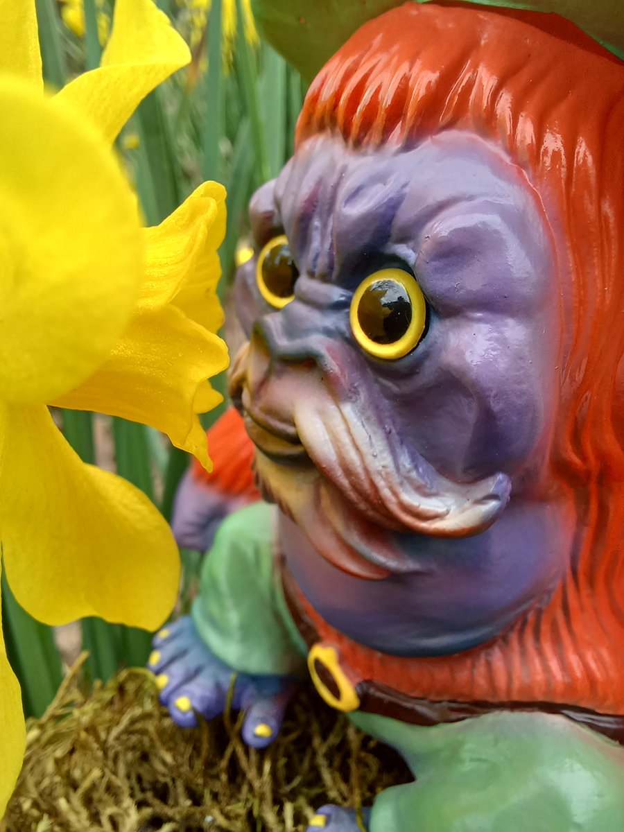 Abba smells daffodils.jpg