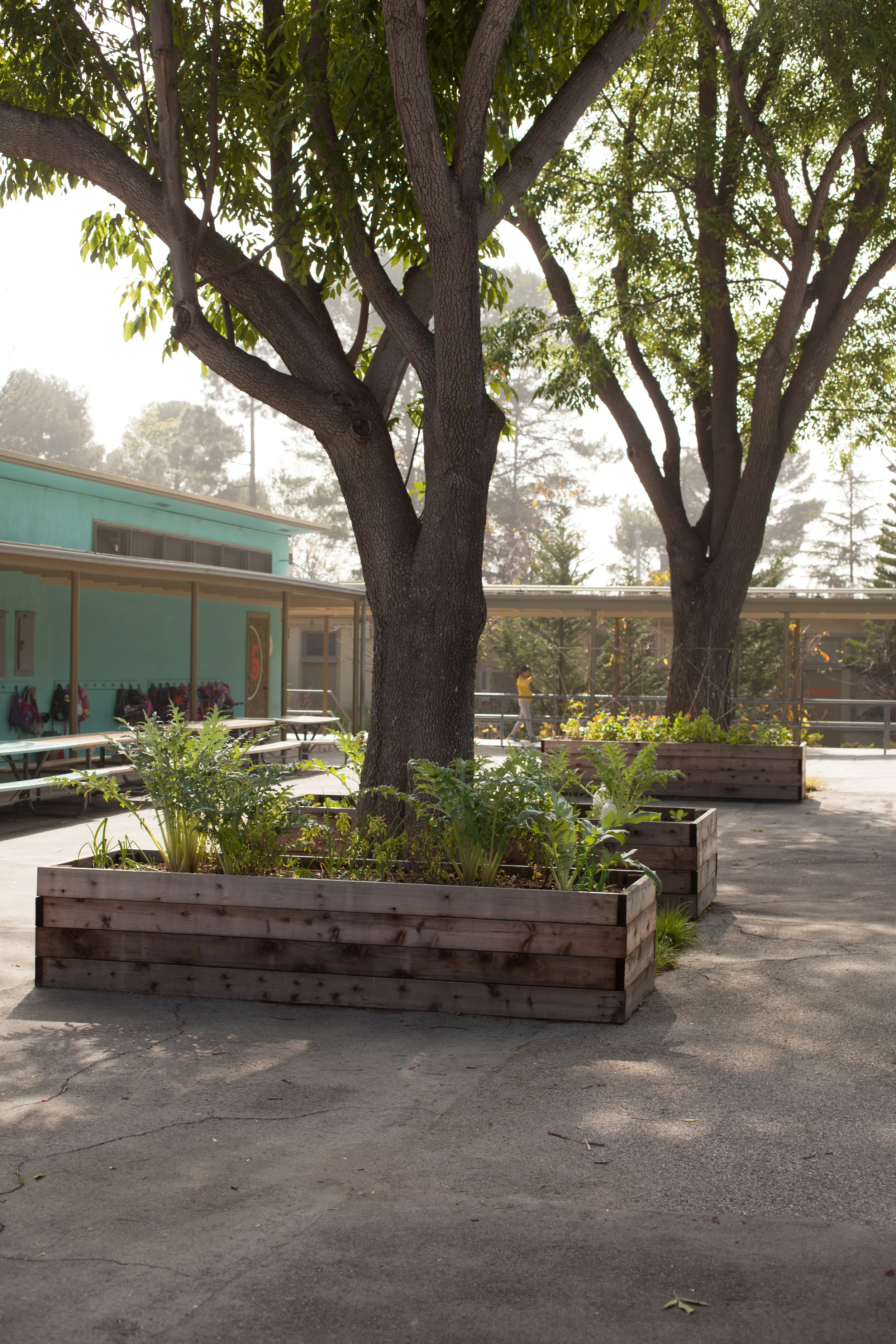 cmcs-0018.jpg