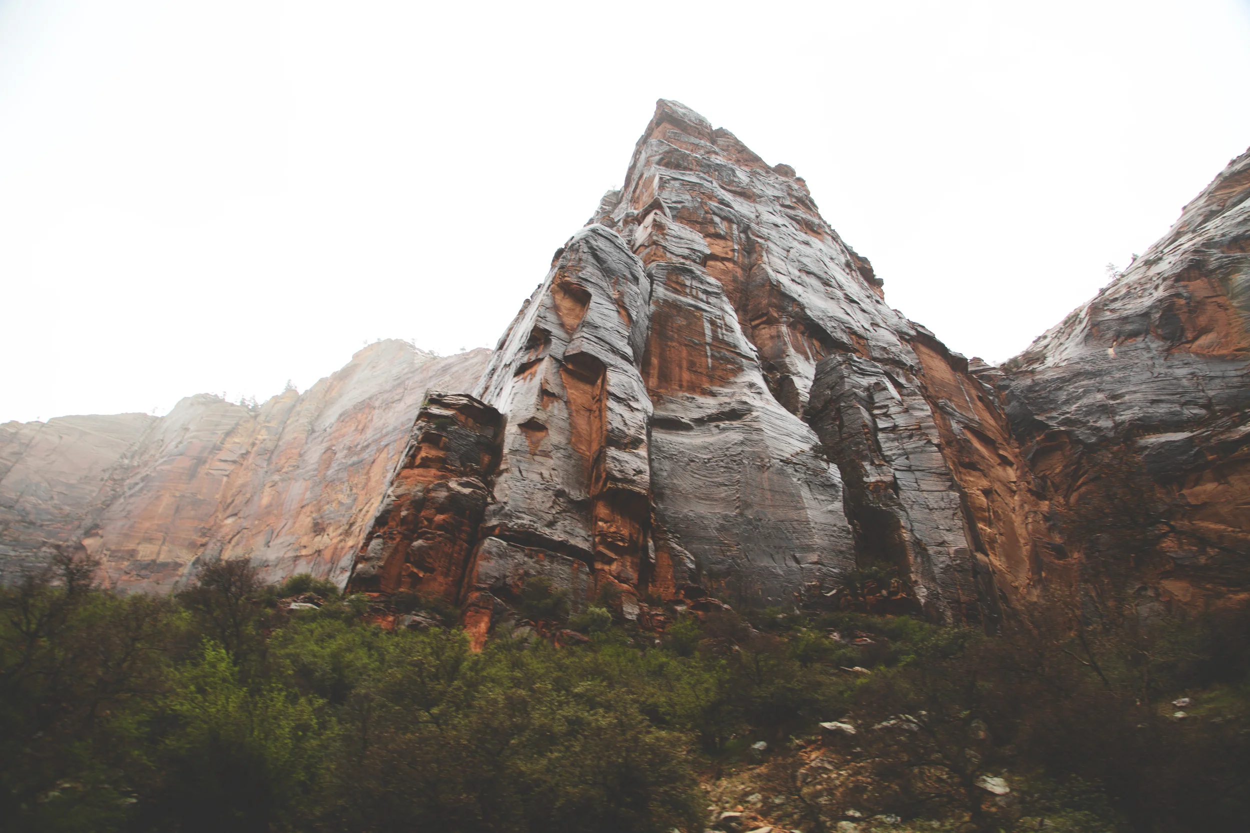 zion1.jpg