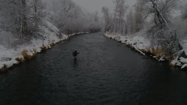 Chase Your Goat | Backcountry.com