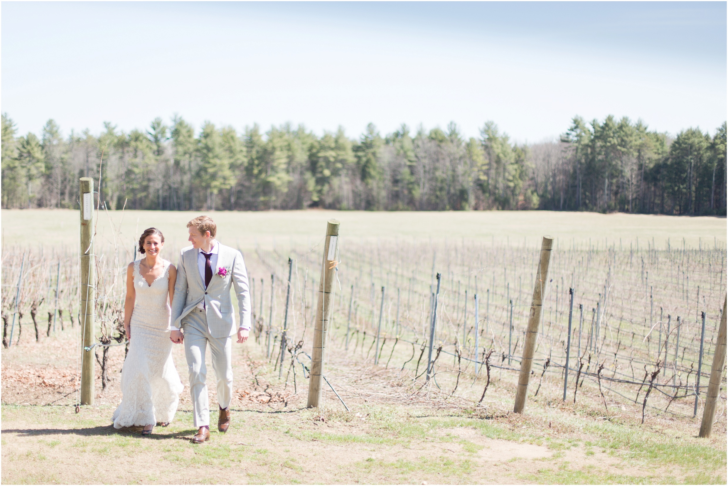 Southern New Hampshire Wedding Photographer | Vineyard Wedding, Grape Vines, Flag Hill Winery Lee New Hampshire | Amy Brown Photography