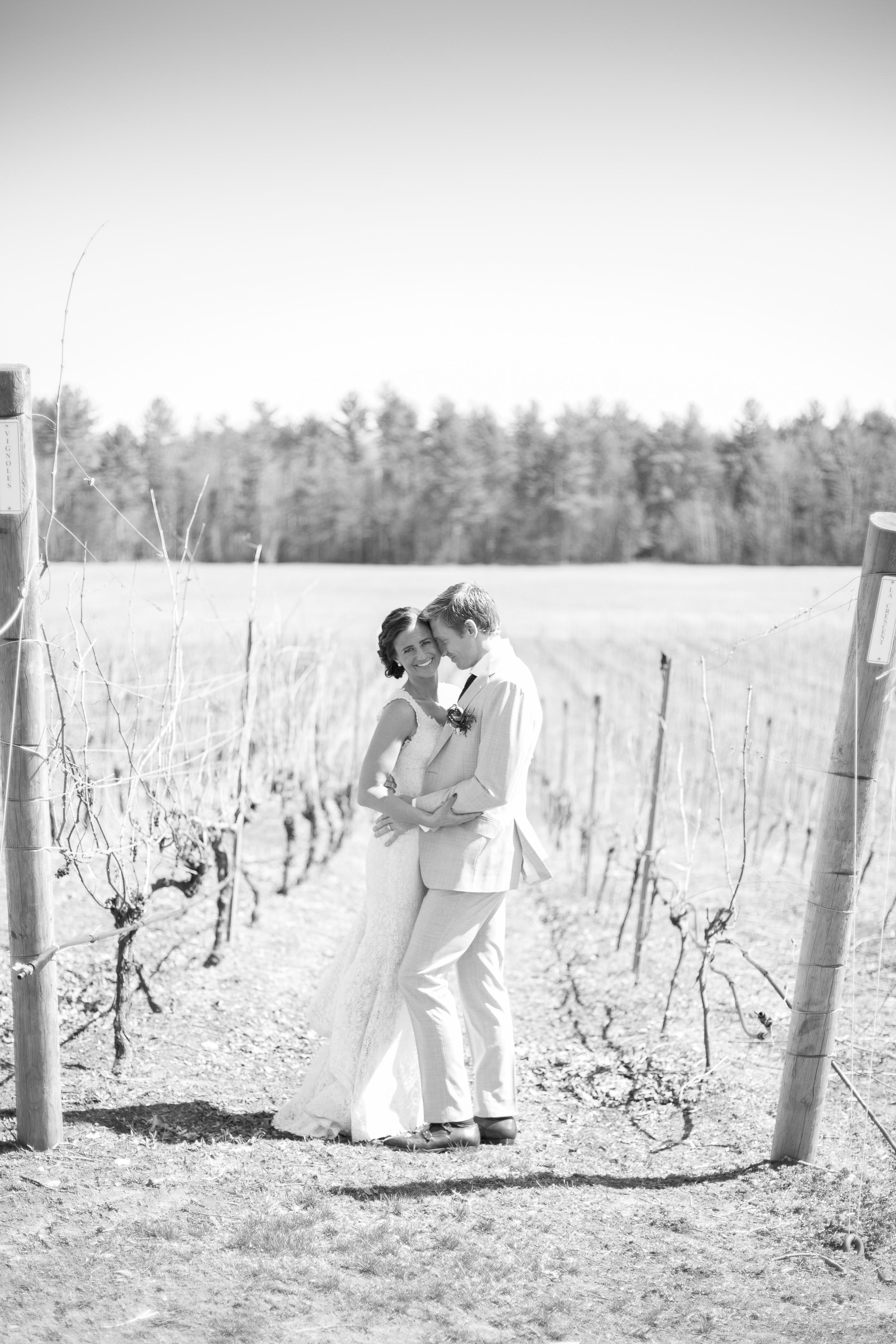 Seacoast New Hampshire Wedding Photographer | flag hill winery and distillery wedding venue | lee, nh | amy brown photography