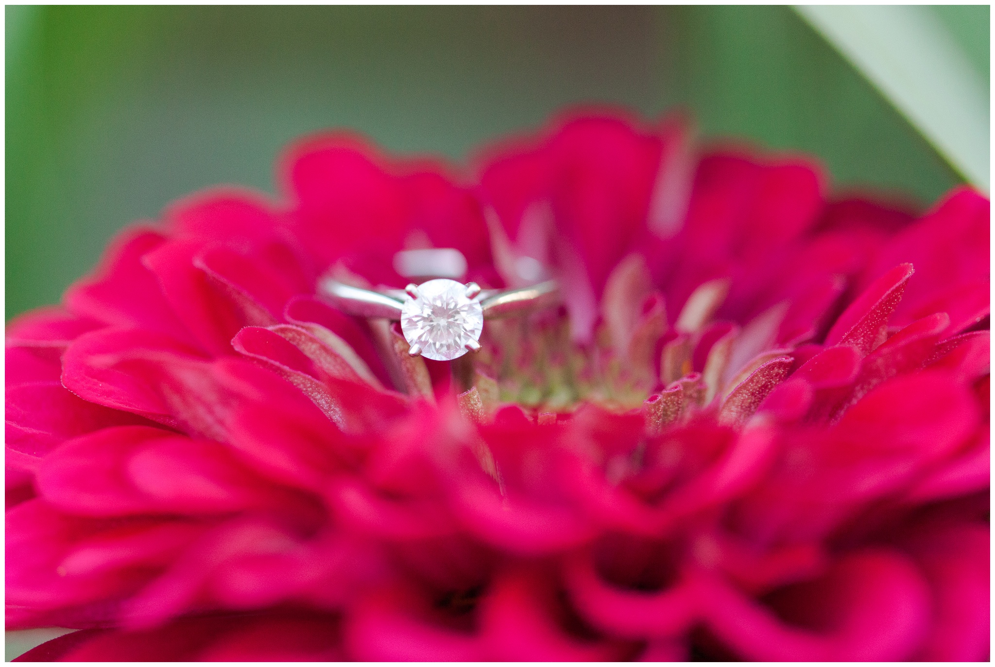 Solitare Engagement Ring | Wagon Hill engagement Session