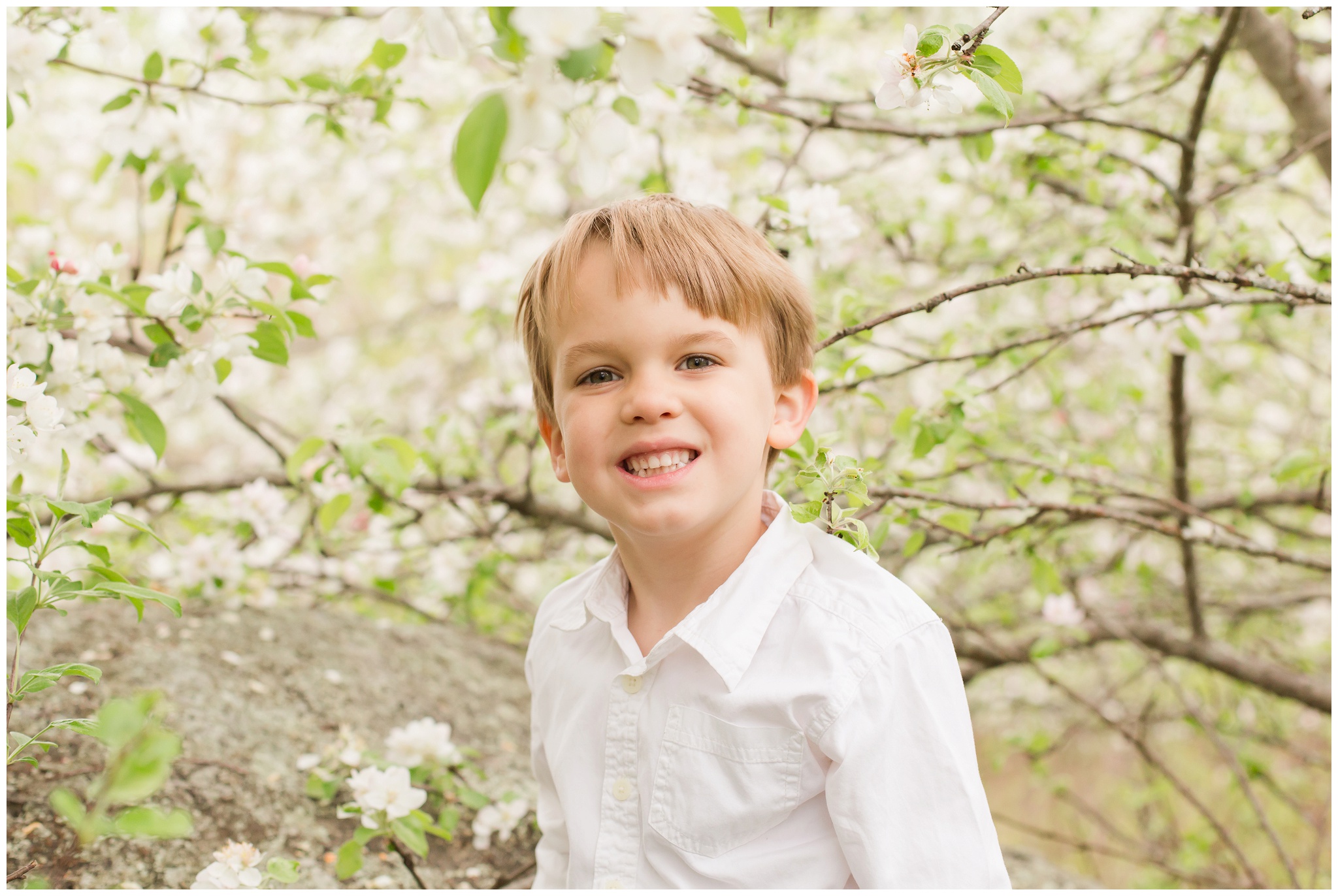 New Hampshire Wedding Photographer | Apple Blossoms | Epping, NH 