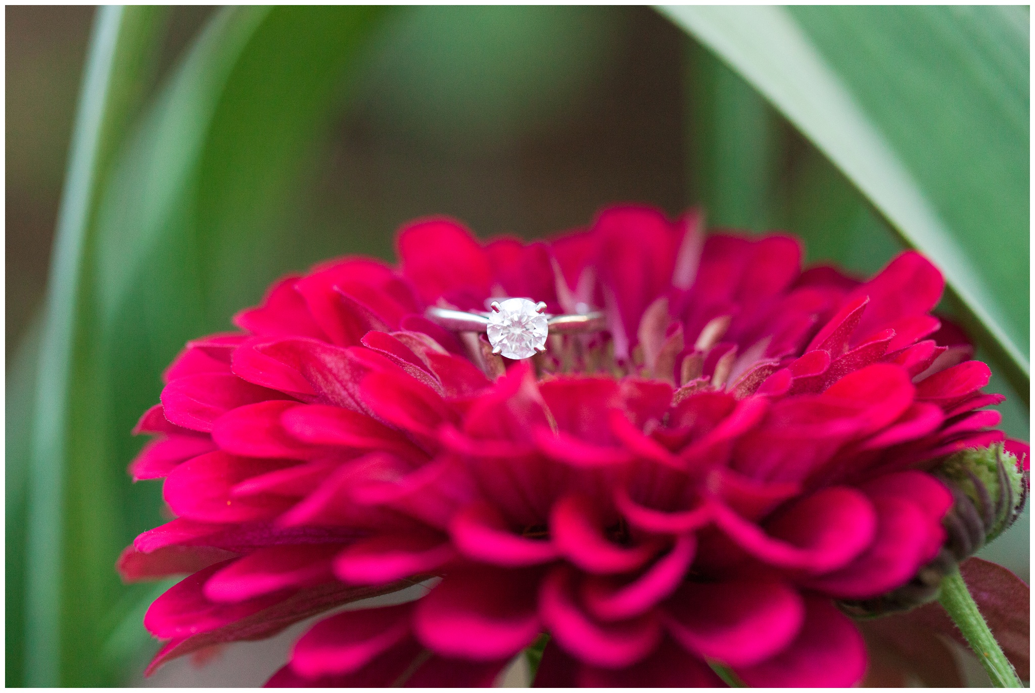 Seacoast NH Wedding Photographer | Wagon Hill Engagement Session | NH Farm Wedding