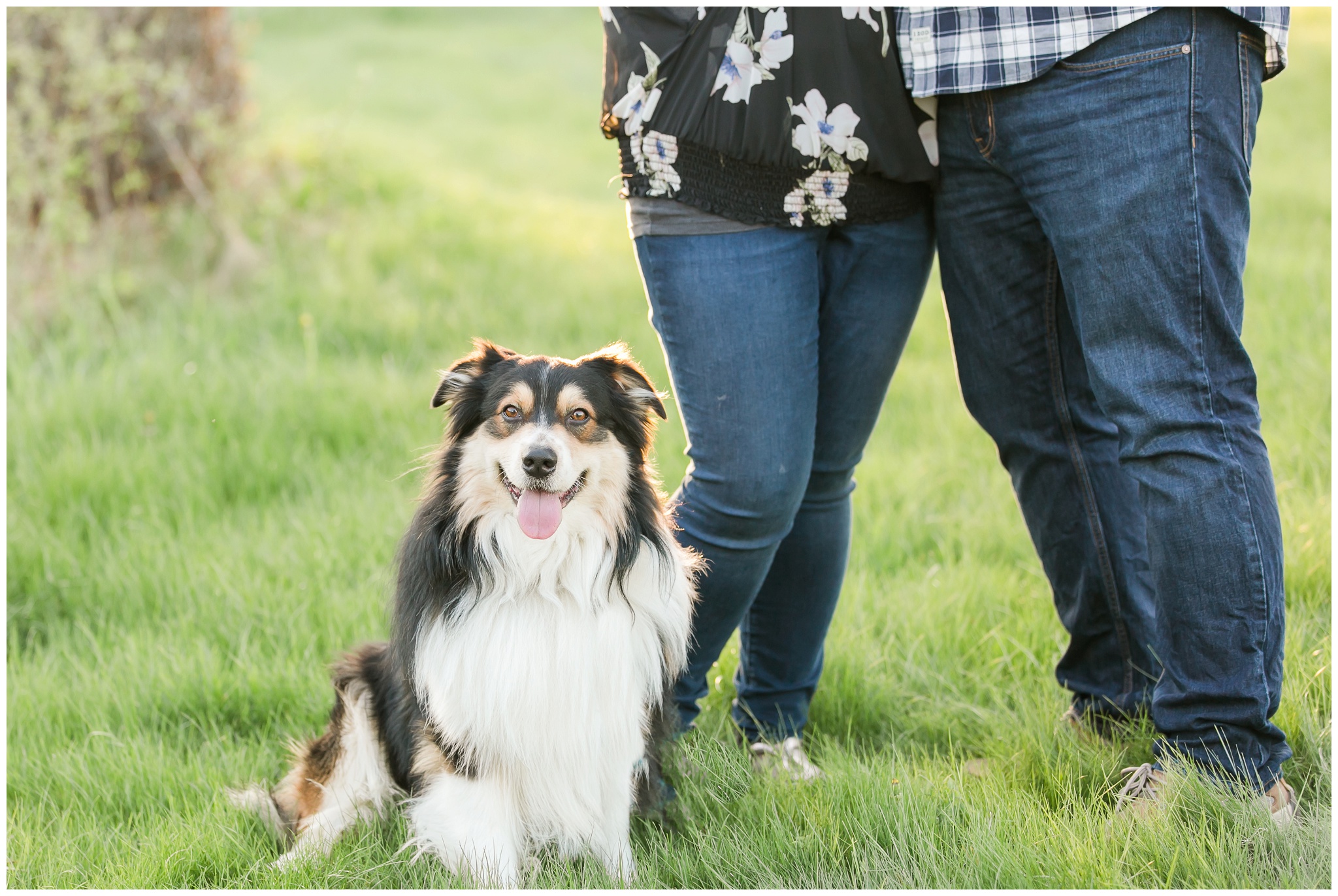 Wagon Hill Engagement Session, New Hampshire | Amy Brown Photography