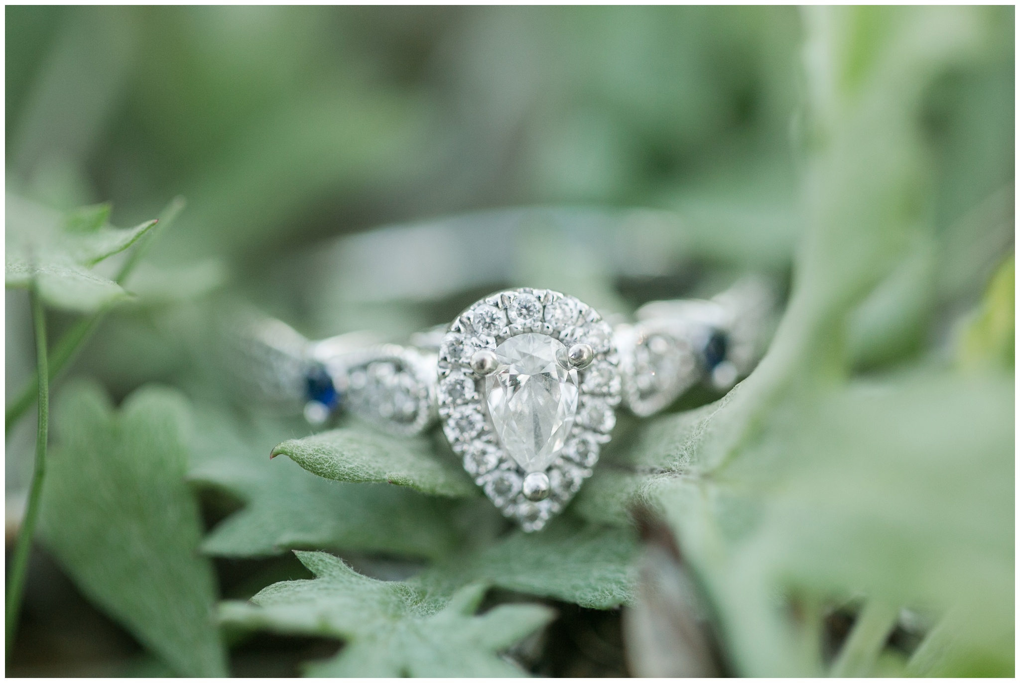 Wagon Hill Engagement Session, New Hampshire | Amy Brown Photography