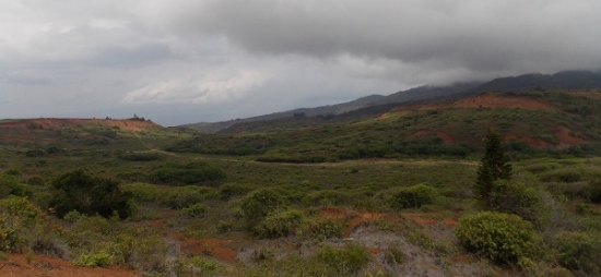  The fields of Lana’i could see some farming changes.