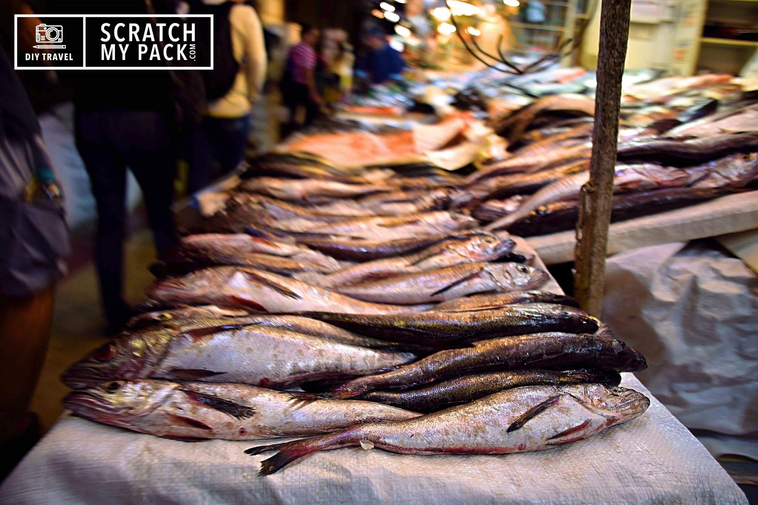Fish Market in Tokyo, Japan