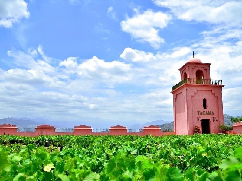 Pisco Tour - Cost $35 - The tour lasts 3.5 hours and includes lunch. You will visit three winery's where Pisco and red wine are both produced using ancient techniques. At all locations you will get to try the wine and Pisco. Click the link above for more information.