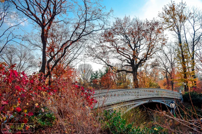 Central Park - Free - You can spend a whole day here. There’s a zoo, a lake, a world class shakespeare theatre, miles of trails, boating, sports, and architecture. And, it’s free. Bring a blanket and some booze (no glass containers) and you’re buzz on while enjoying nature in the middle of skyscrapers.