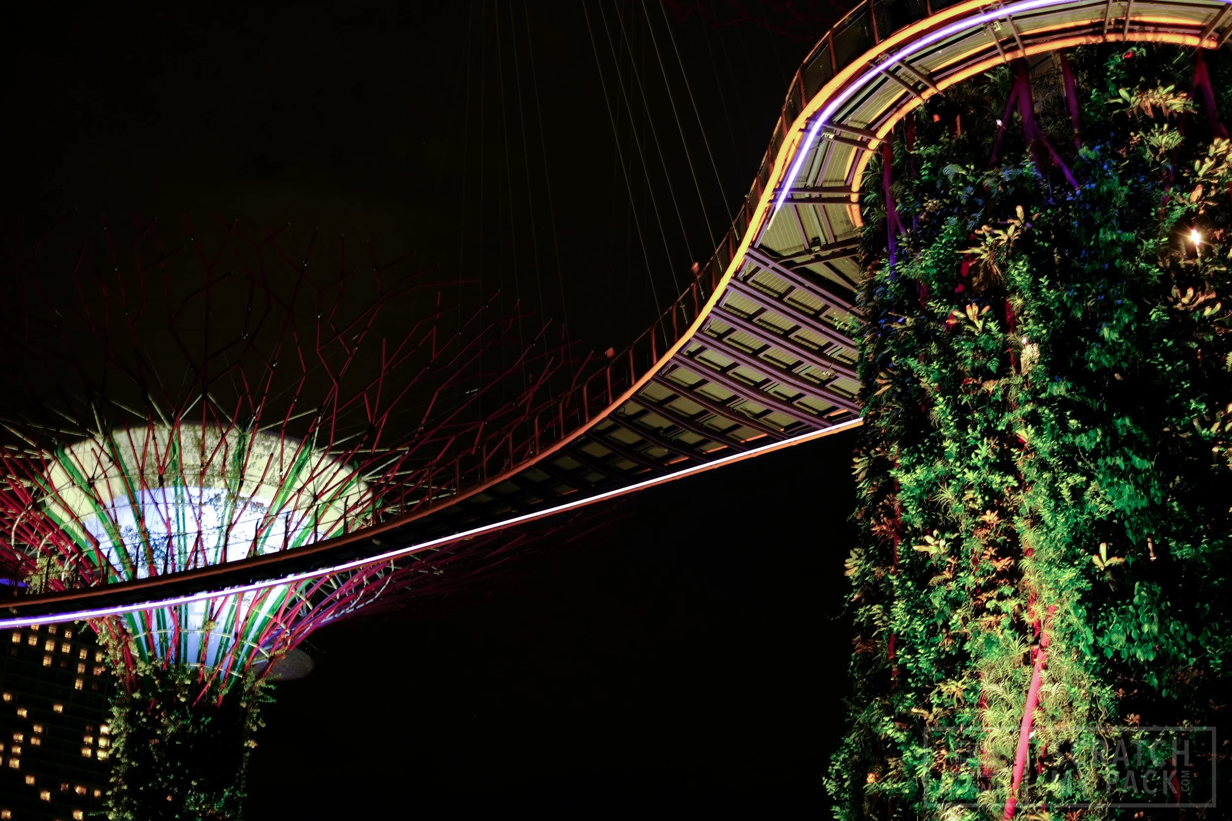 Gardens By The Bay Super-Tree Grove Light Show - There is an elevated walkway, between two of the larger Supertrees for visitors to enjoy a panoramic view of the Gardens. Every night, at 7:45pm and 8:45pm, the Supertree Grove comes alive with a coordinated light and music show known as the Garden Rhapsody. The accompanying music to the show changes every month or so, with certain themes such as A World of Wonder and A Night of Musical Theatre, which features excerpts/pieces from films like Jurassic Park and Pirates of the Caribbean.