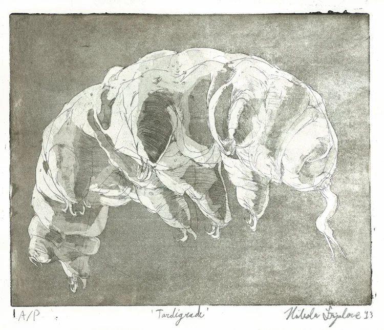 Tardigrade