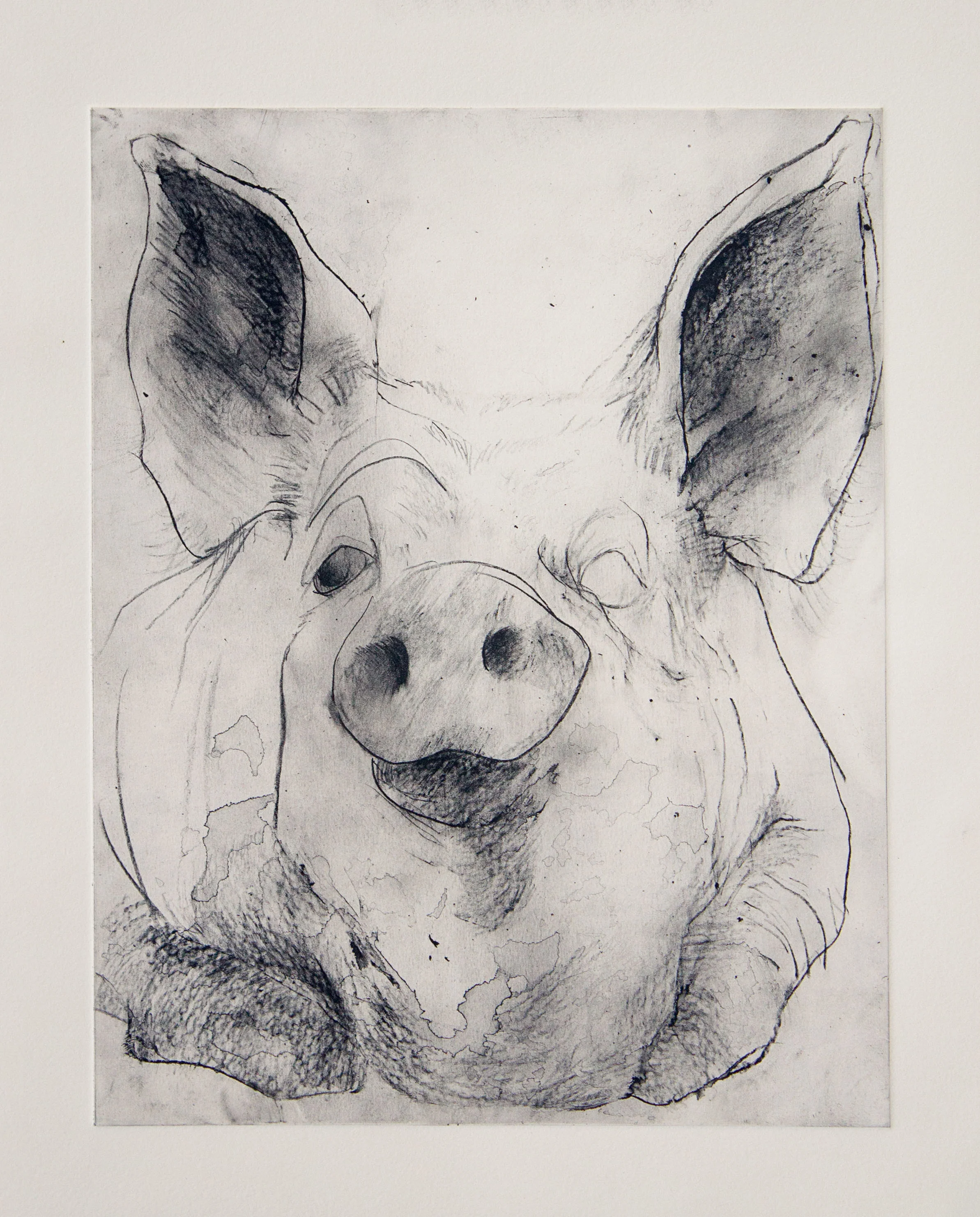 Wilbur