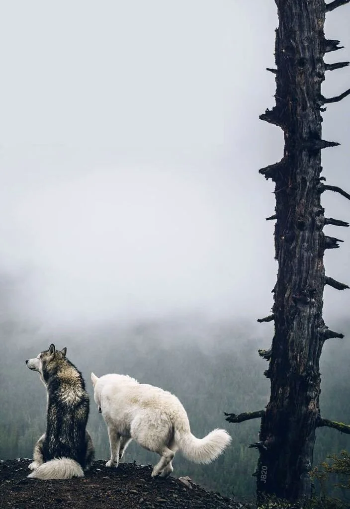 time to come home.JPG