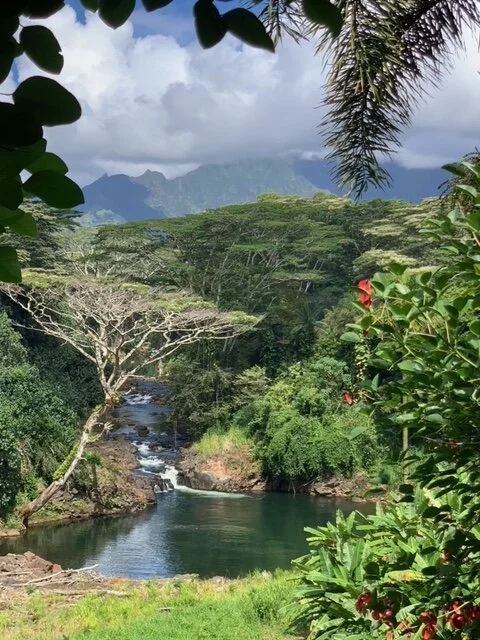 Activation Hawaii.JPEG