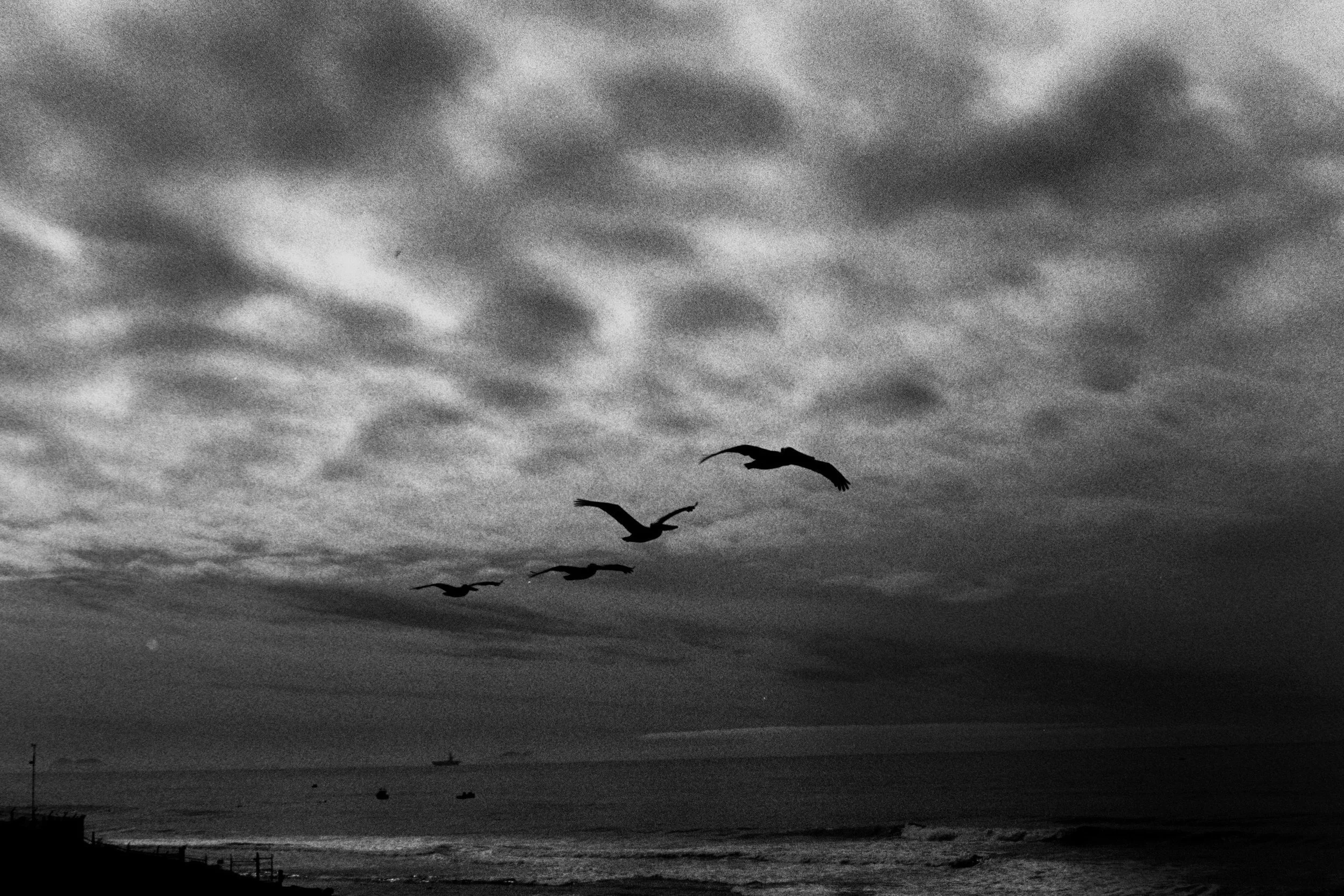 002_24bw.jpg