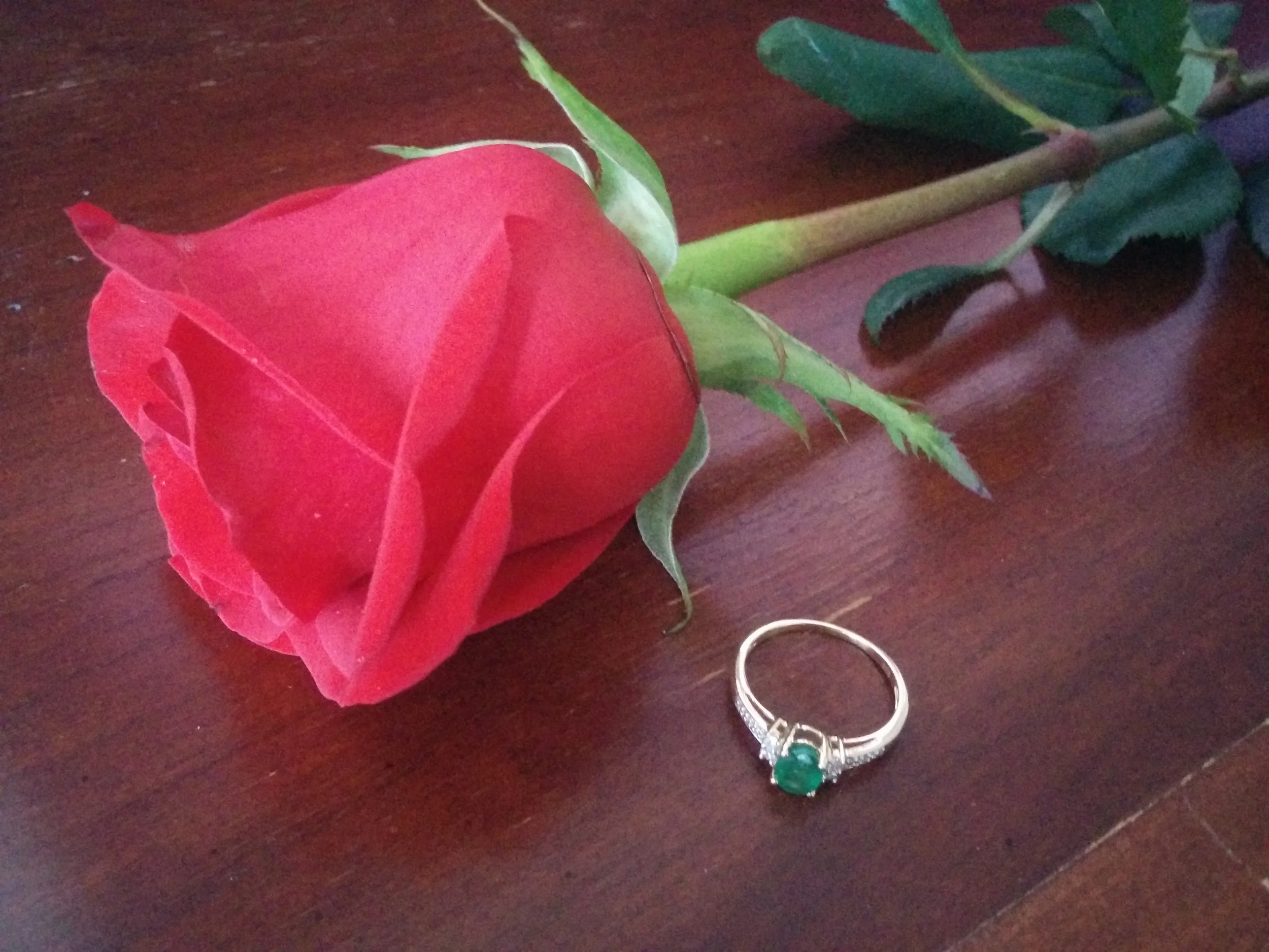 The ring and a rose. Cliche, I know. You hopefully only get married once. Let me have this. 