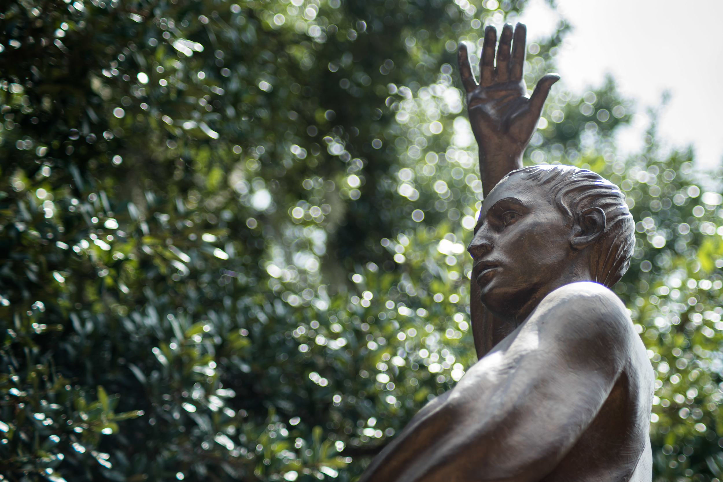 brookgreen garden myrtle beach-1.jpg