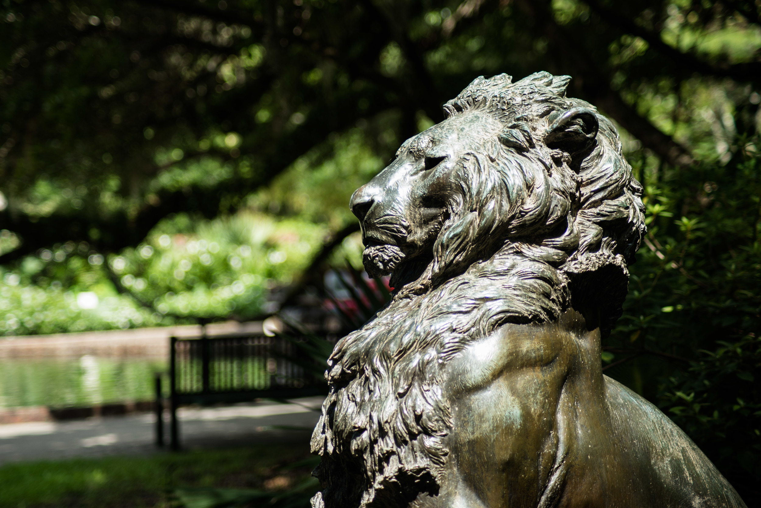 brookgreen garden myrtle beach-2.jpg