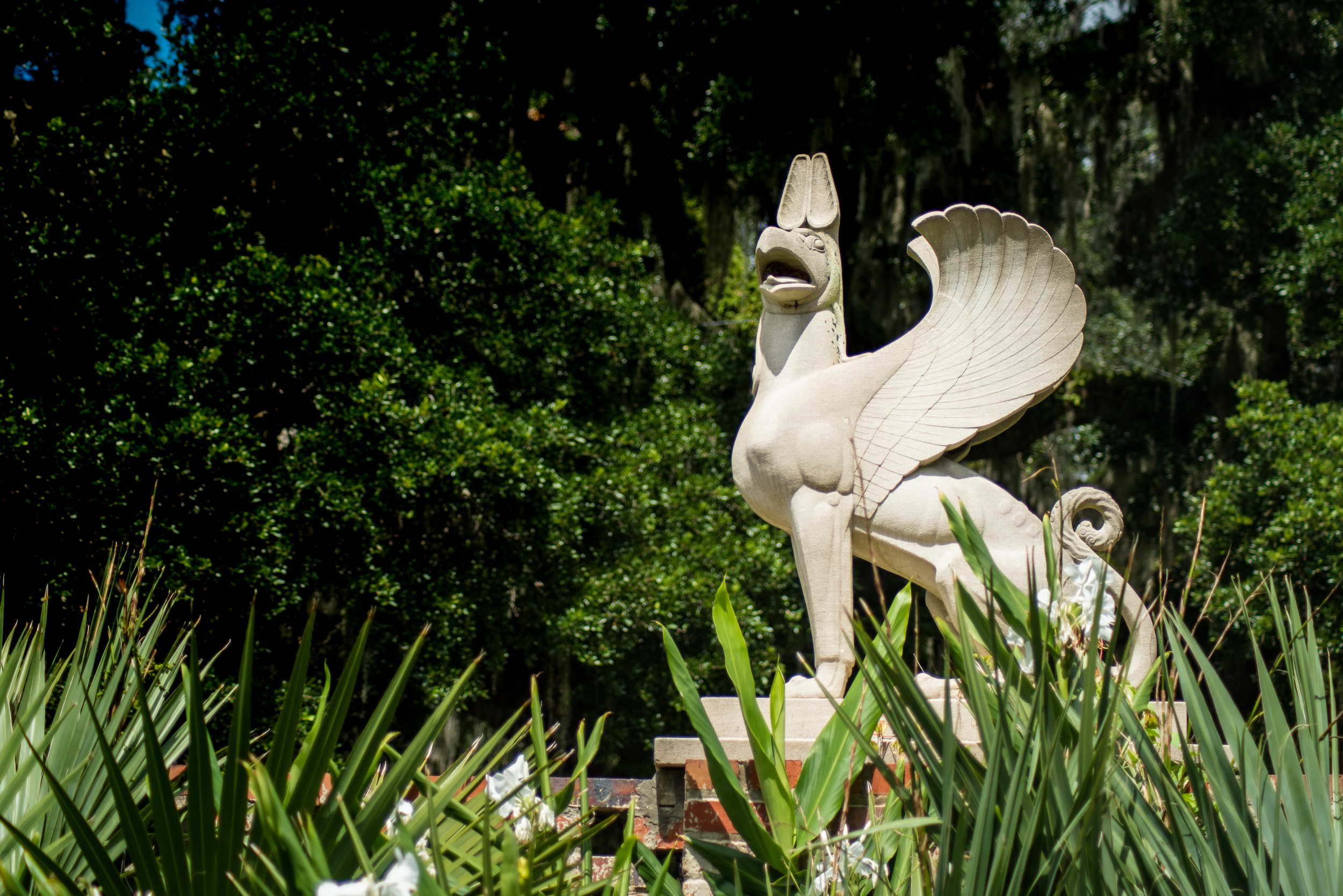 brookgreen garden myrtle beach-5.jpg