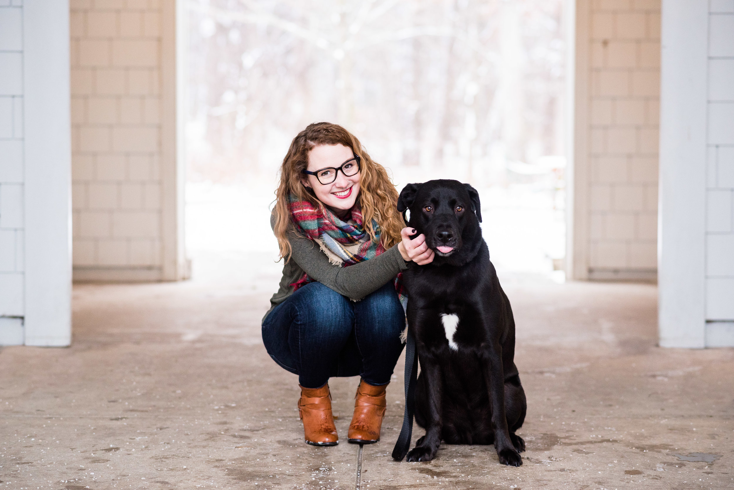 black lab pet photographer