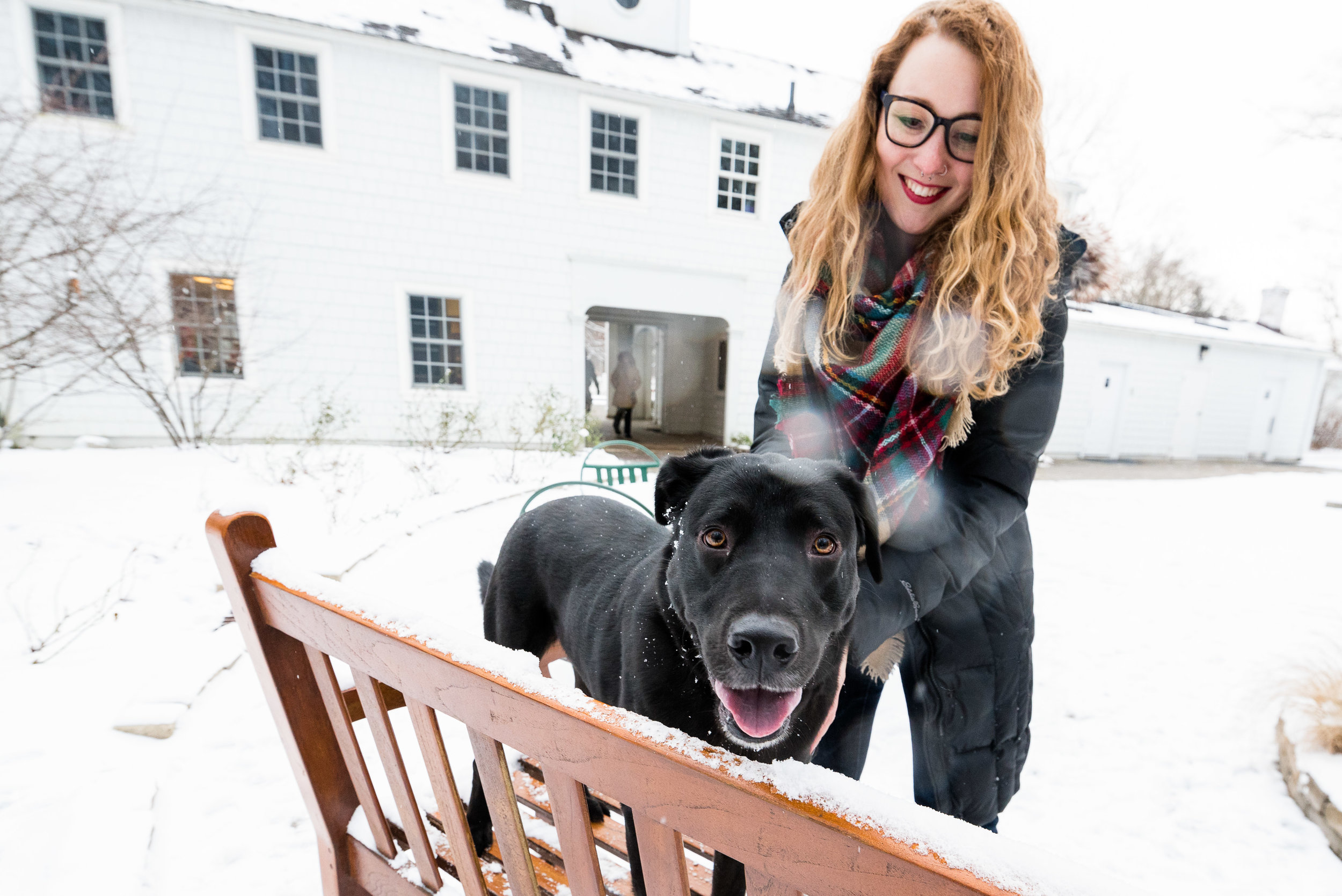 ohio pet photographer