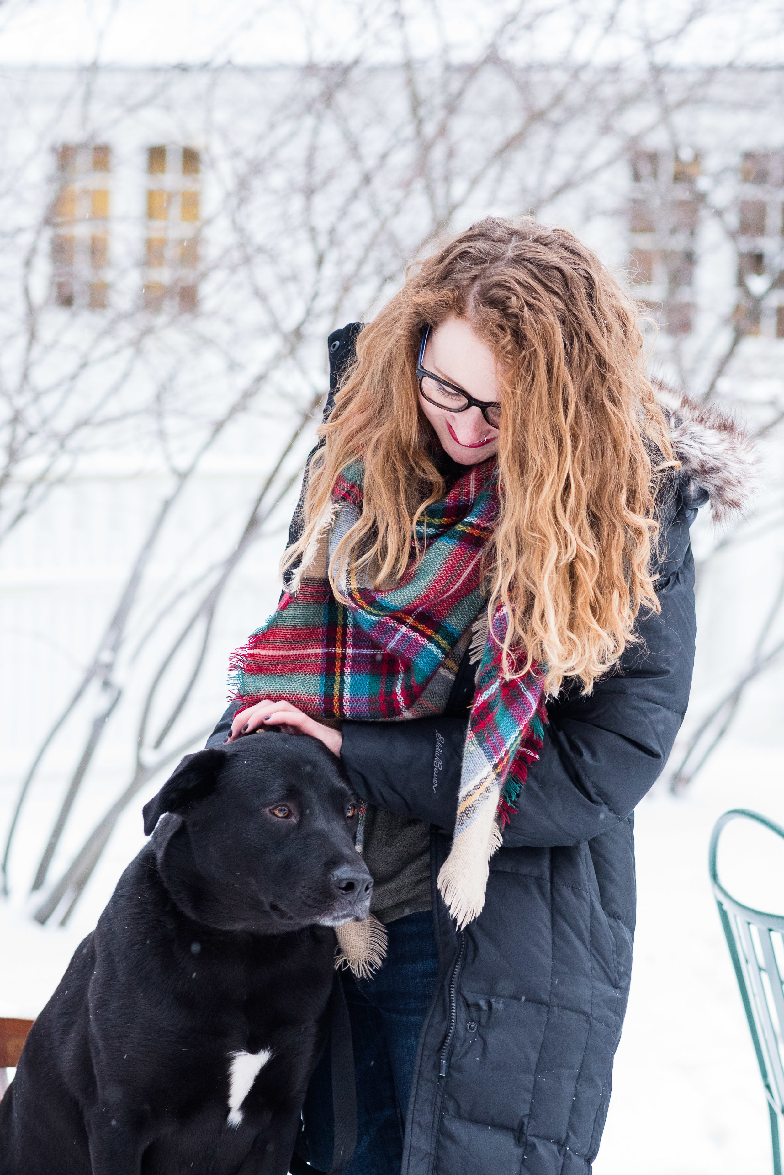 pet photographer