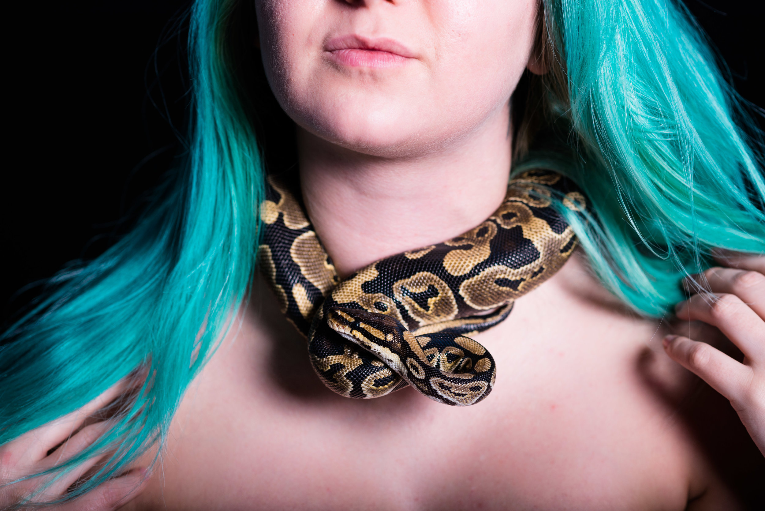 snake themed image
