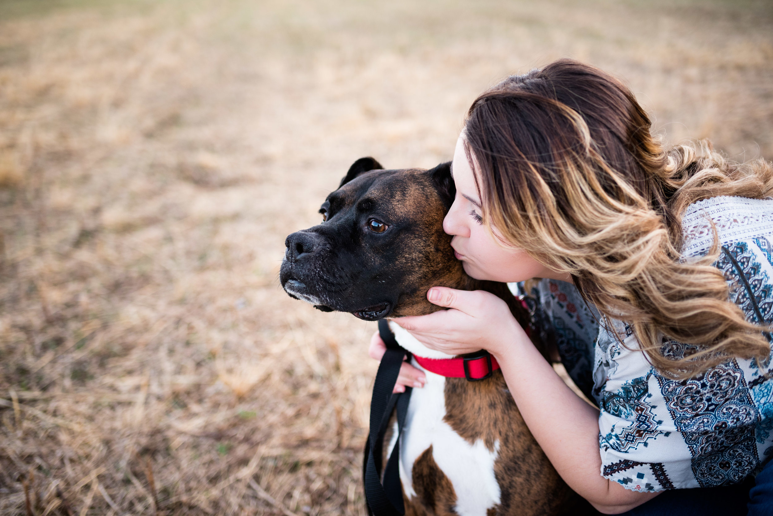 bowling green pet photographer