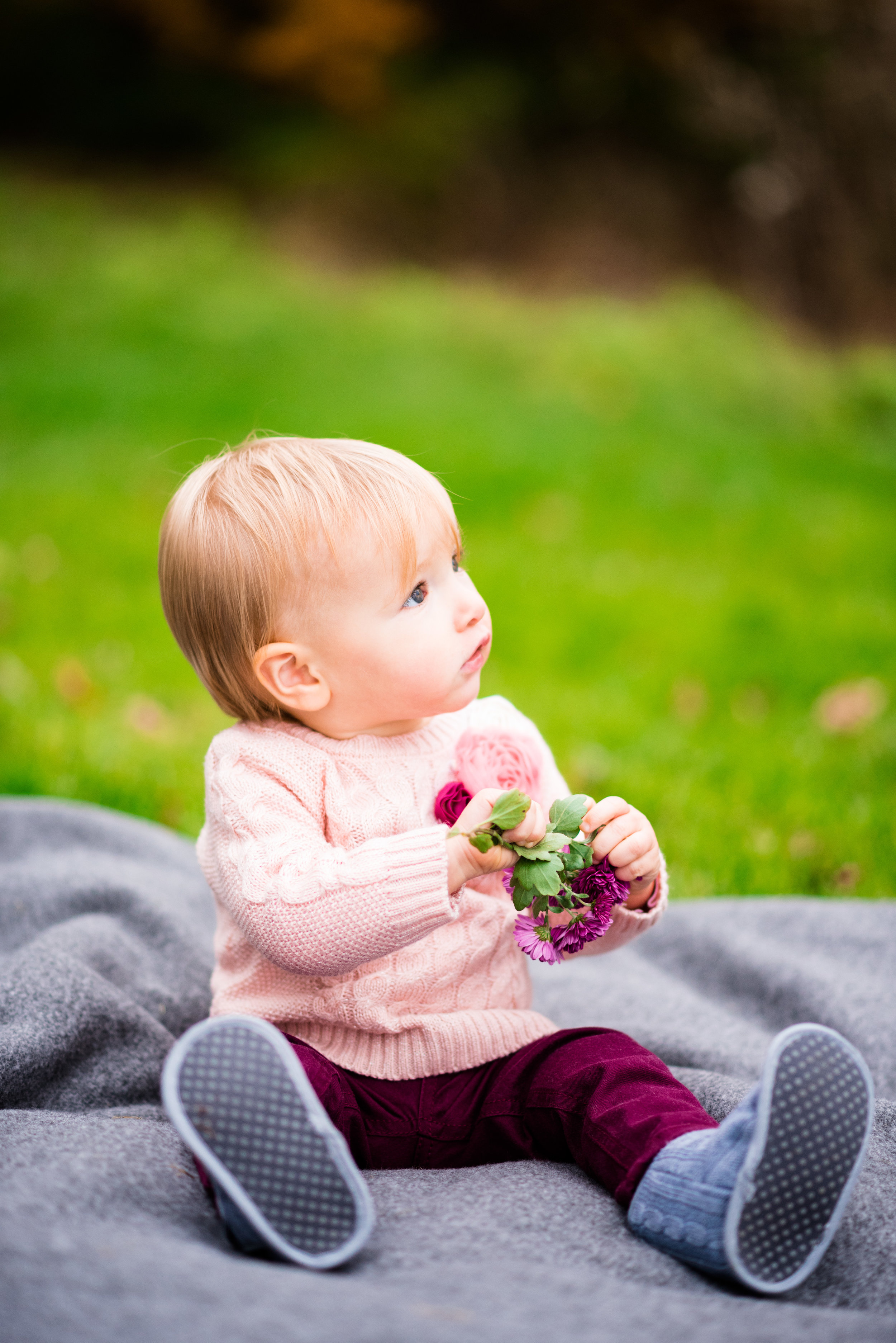 toledo family photographer