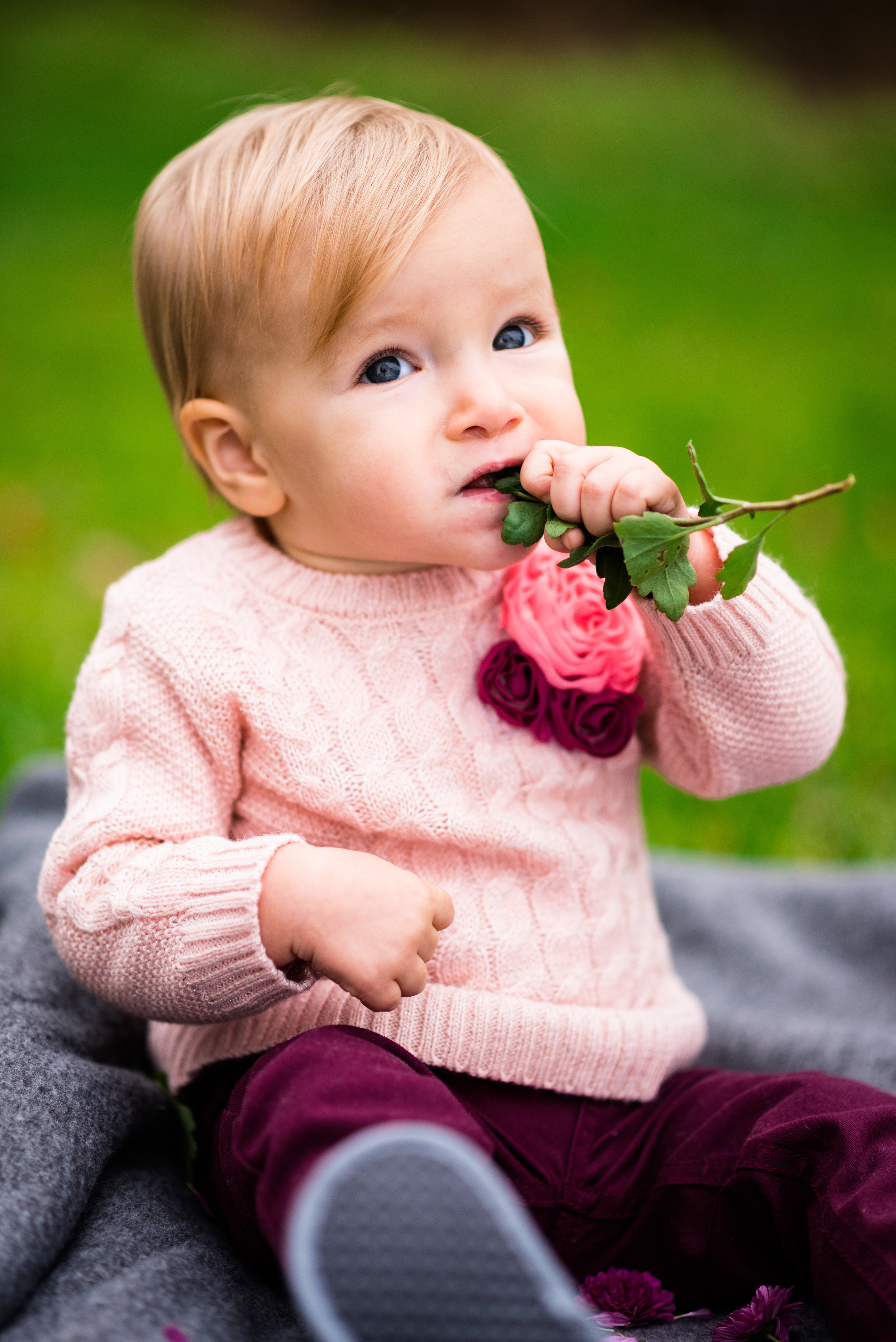toledo baby photographer