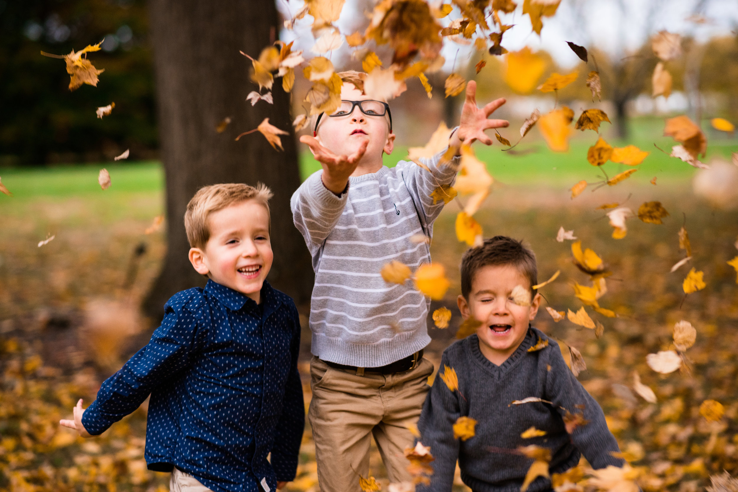 sylvania family photographer
