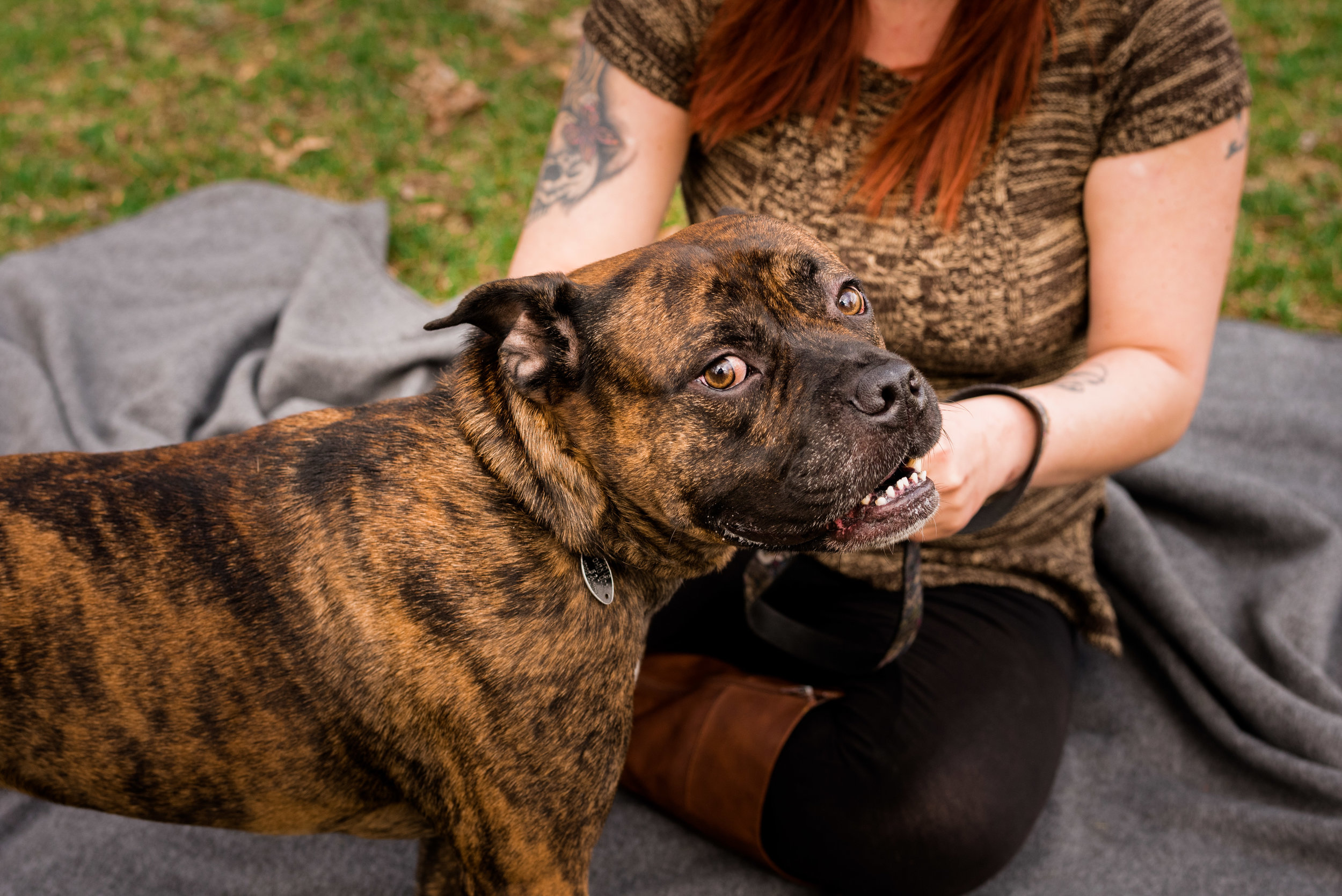 toledo dog photographer