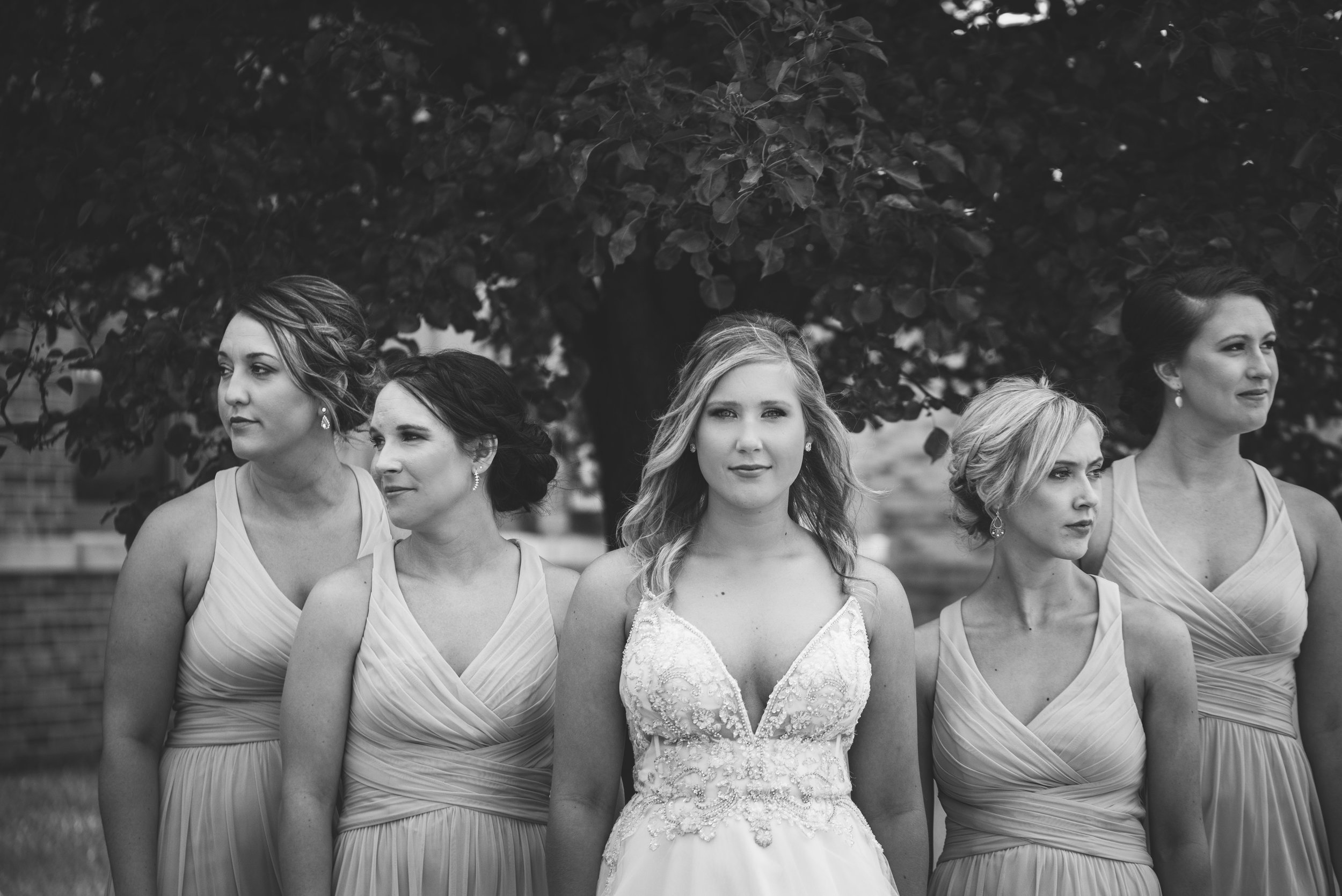 toledo area wedding photographer
