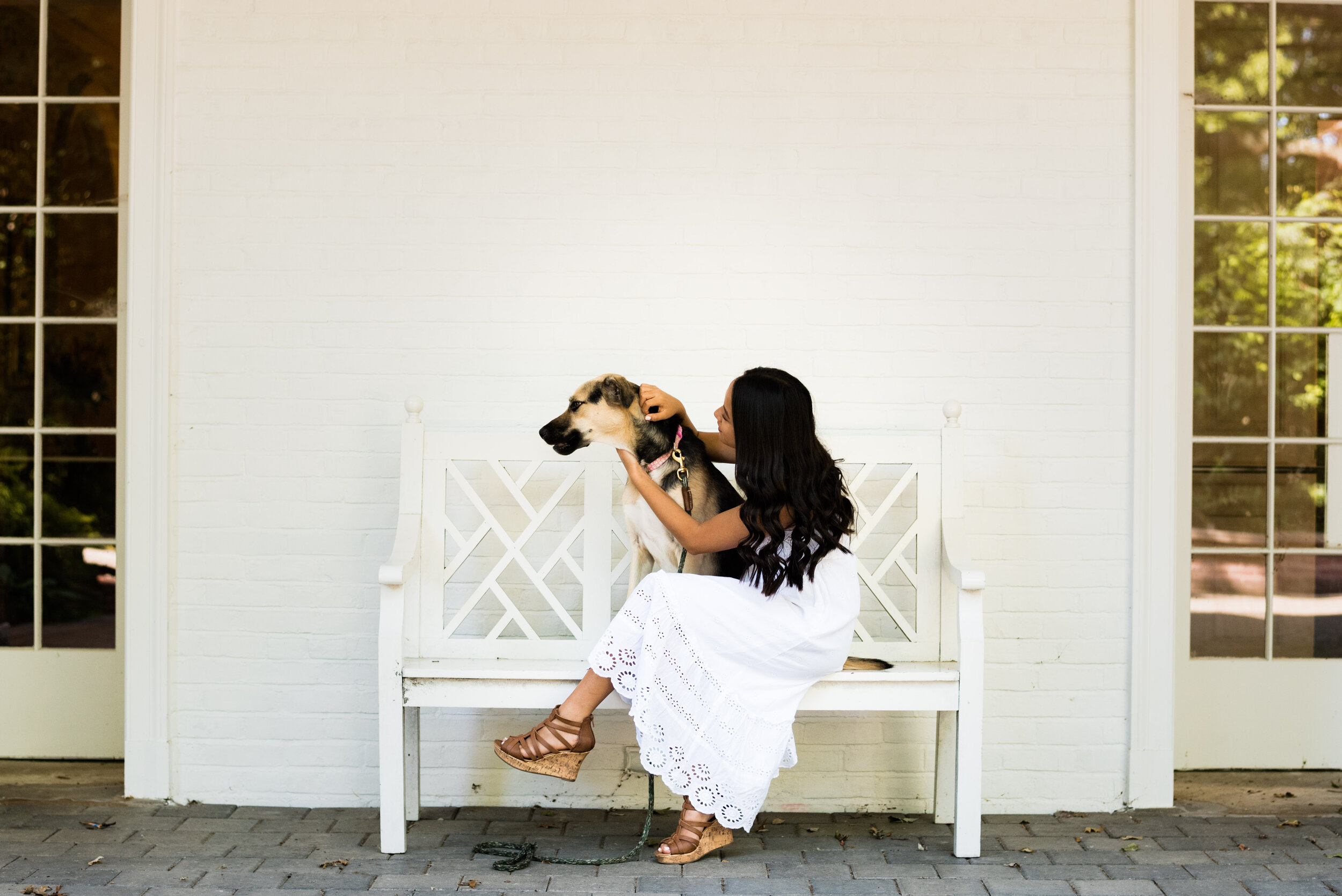 sylvania pet photographer
