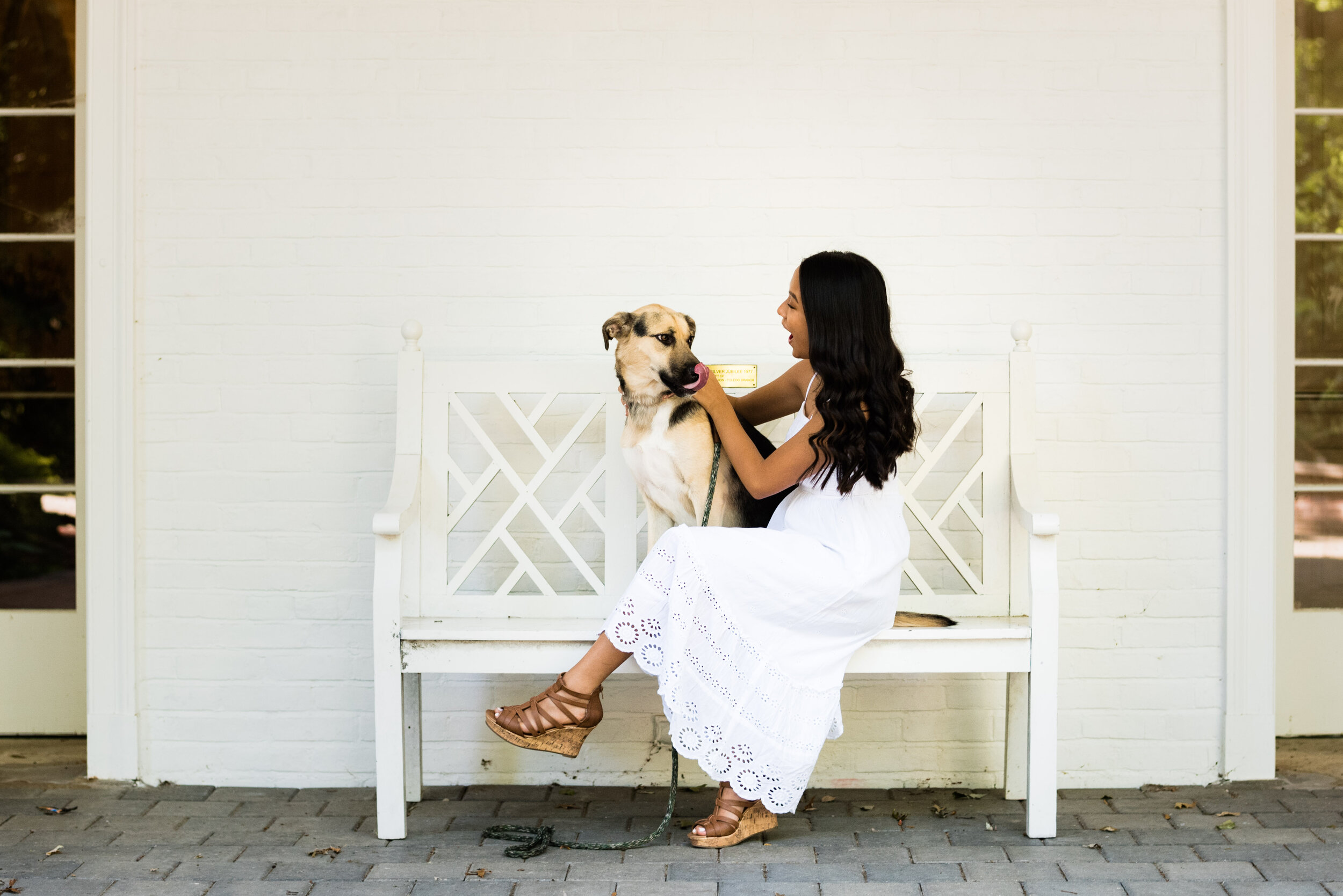 toledo pet portraits