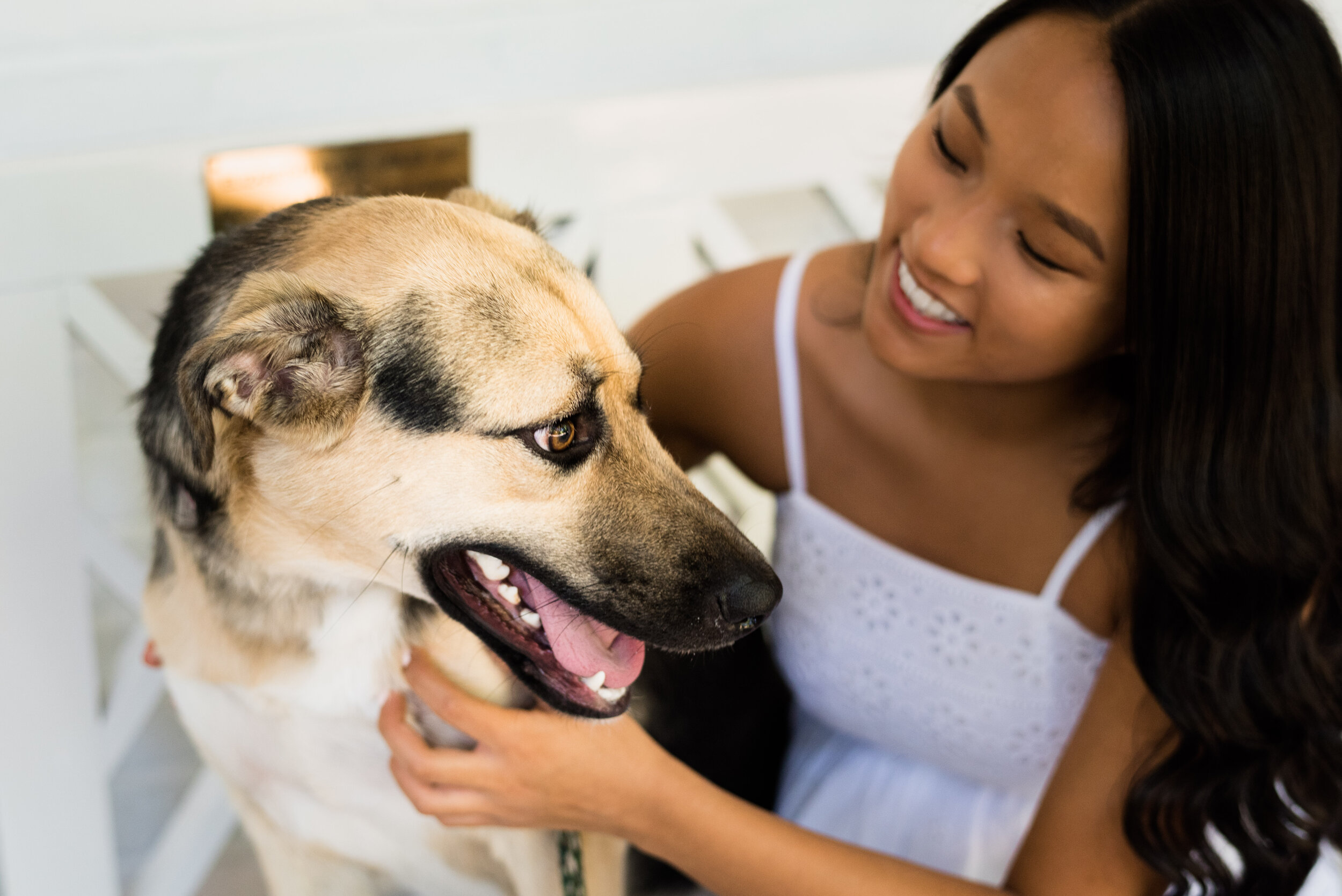 ottawa hills pet photographer