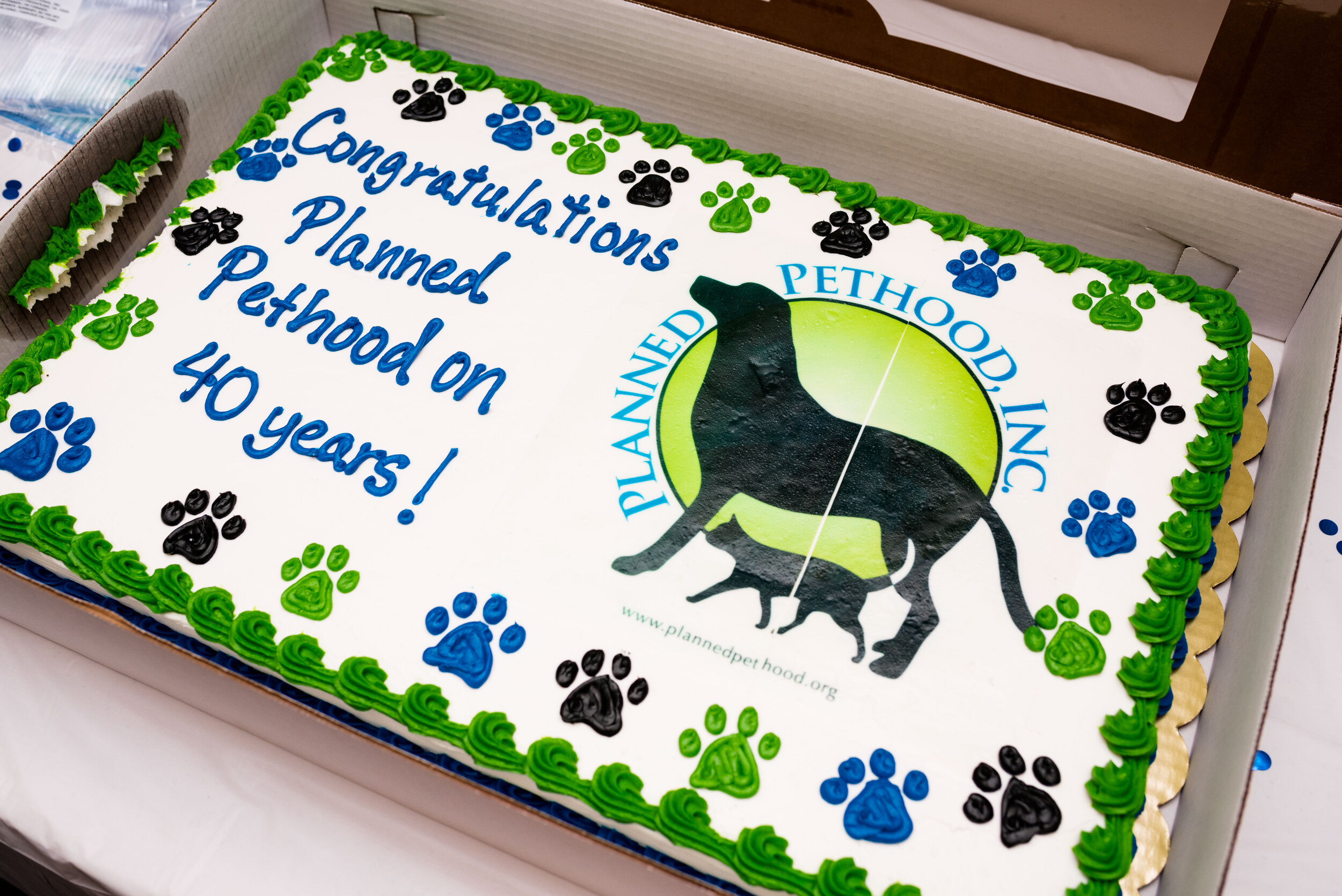 toledo area pet photography pet adoption-3.jpg