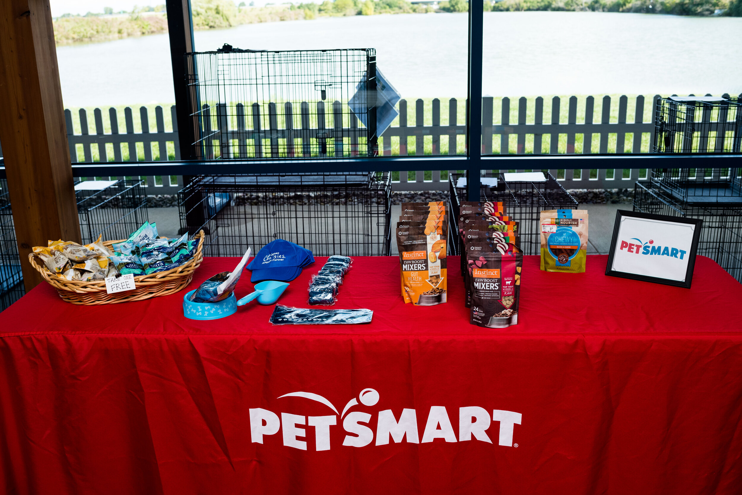toledo area pet photography pet adoption-7.jpg
