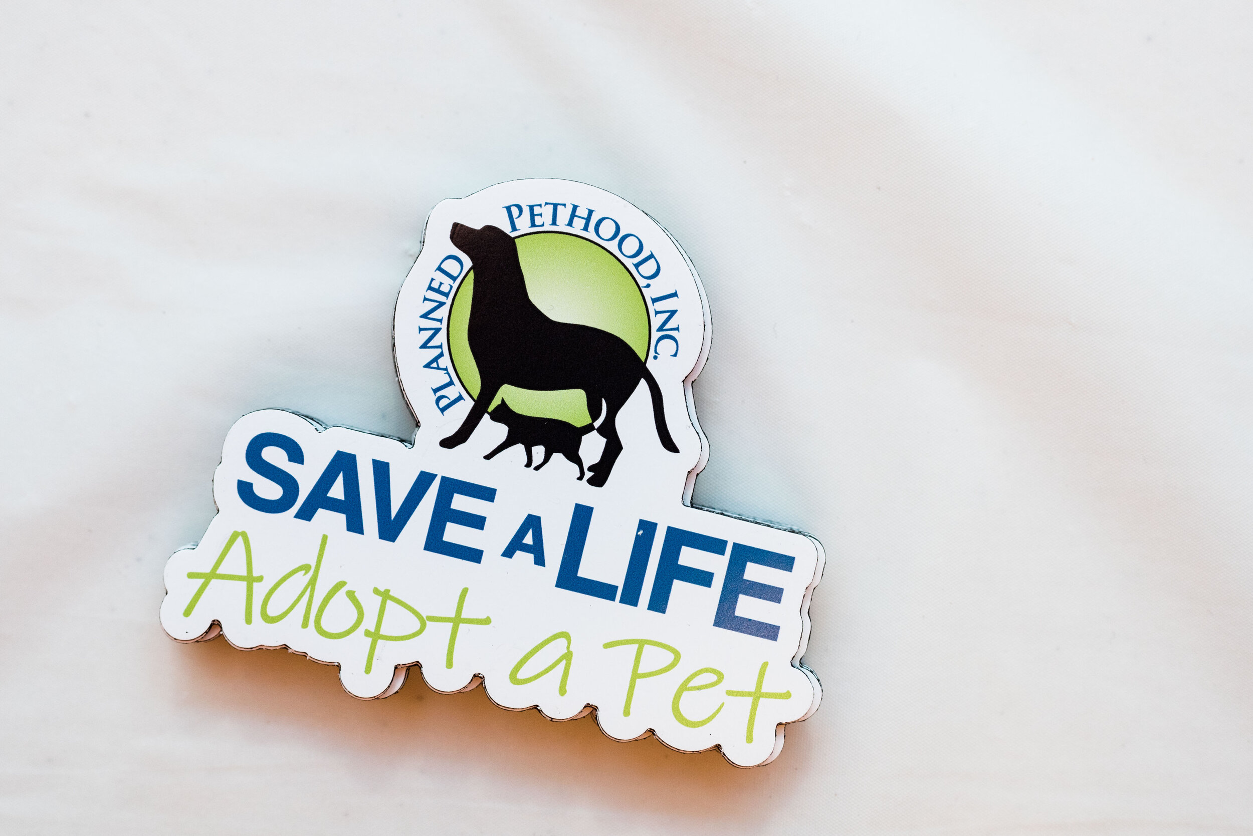 toledo area pet photography pet adoption-9.jpg