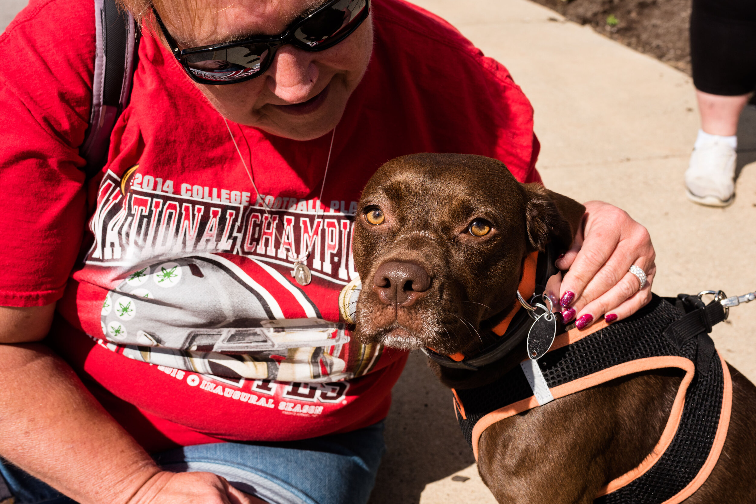 toledo area pet photography pet adoption-39.jpg