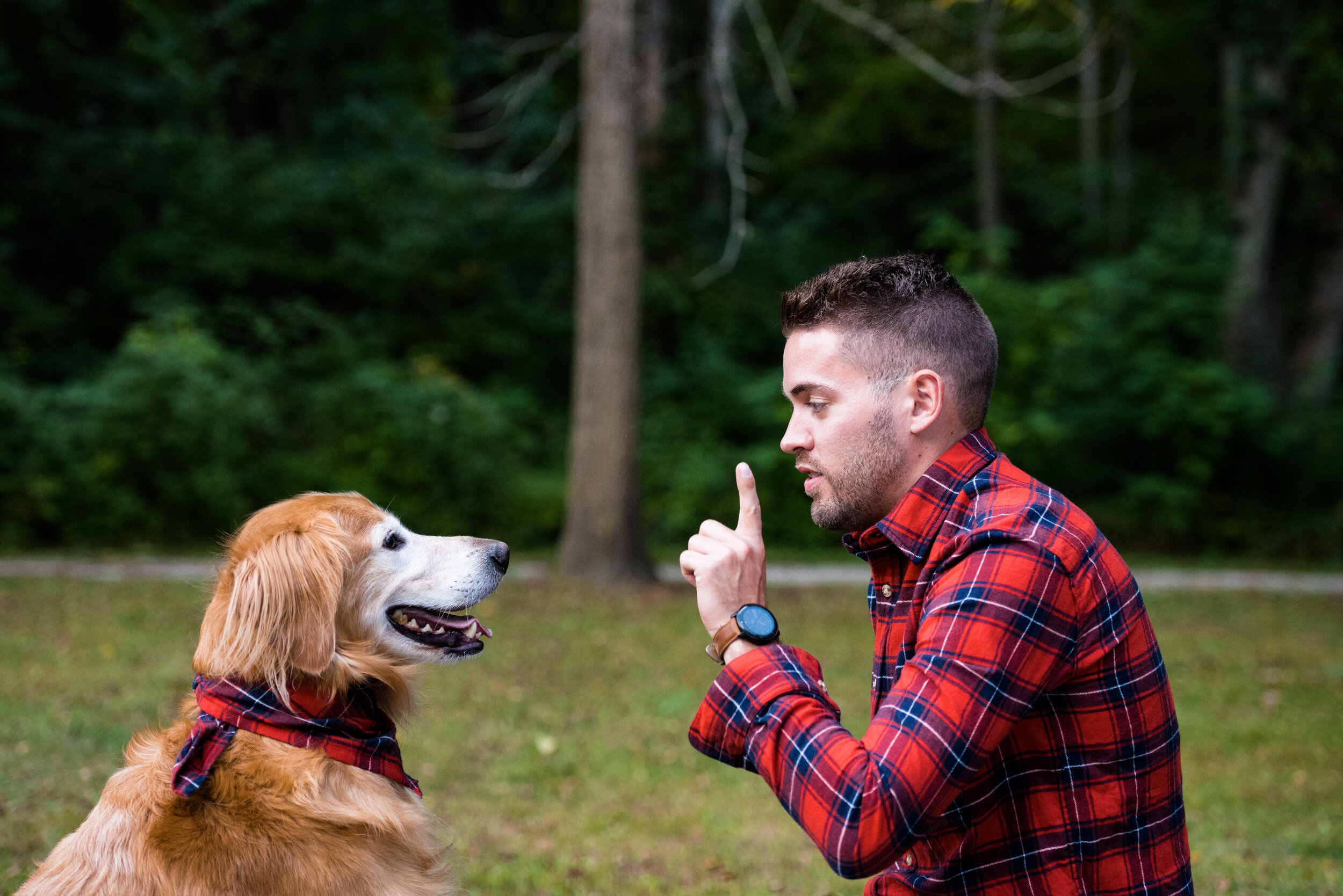 sylvania ohio pet photography