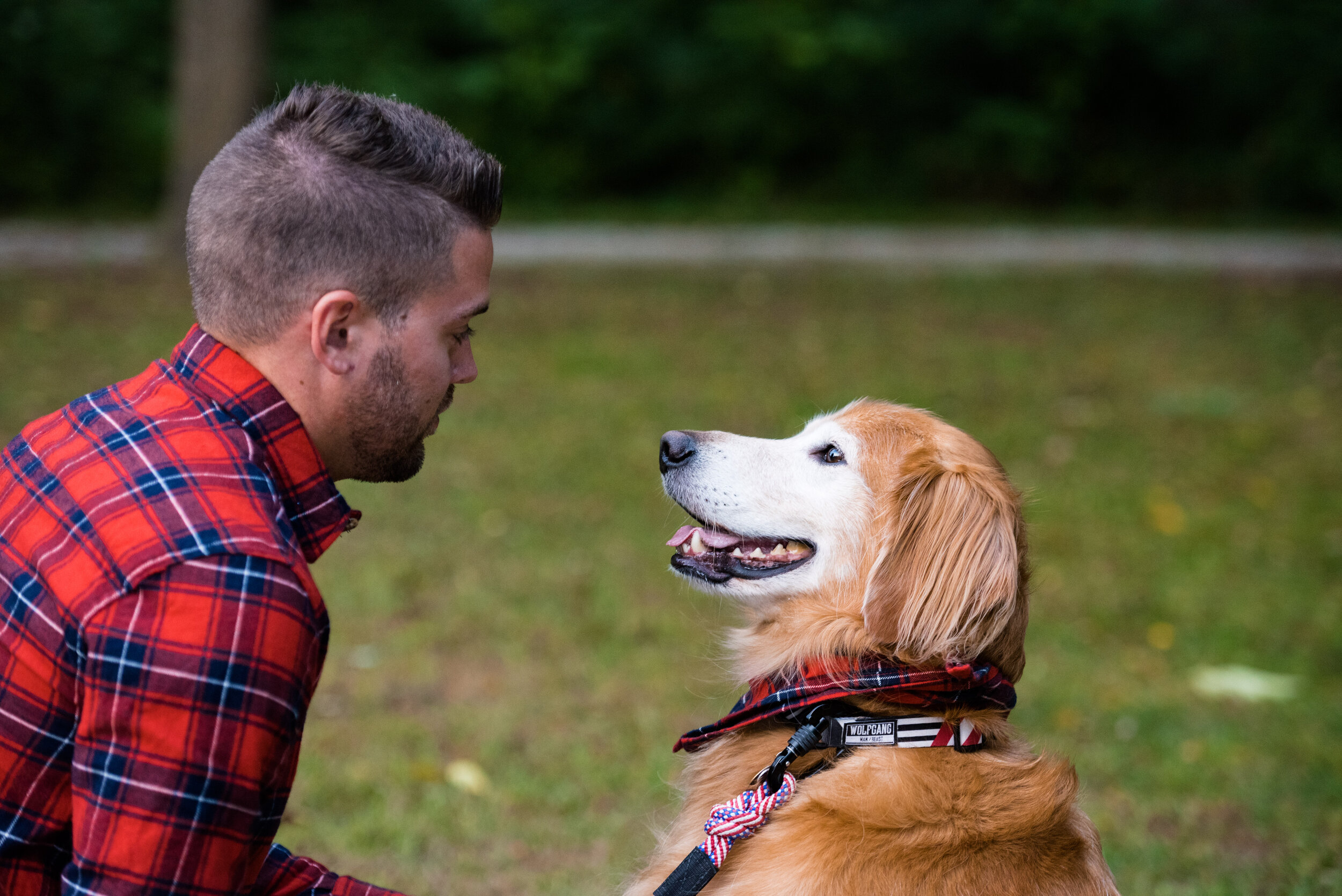 toledo ohio pet photography