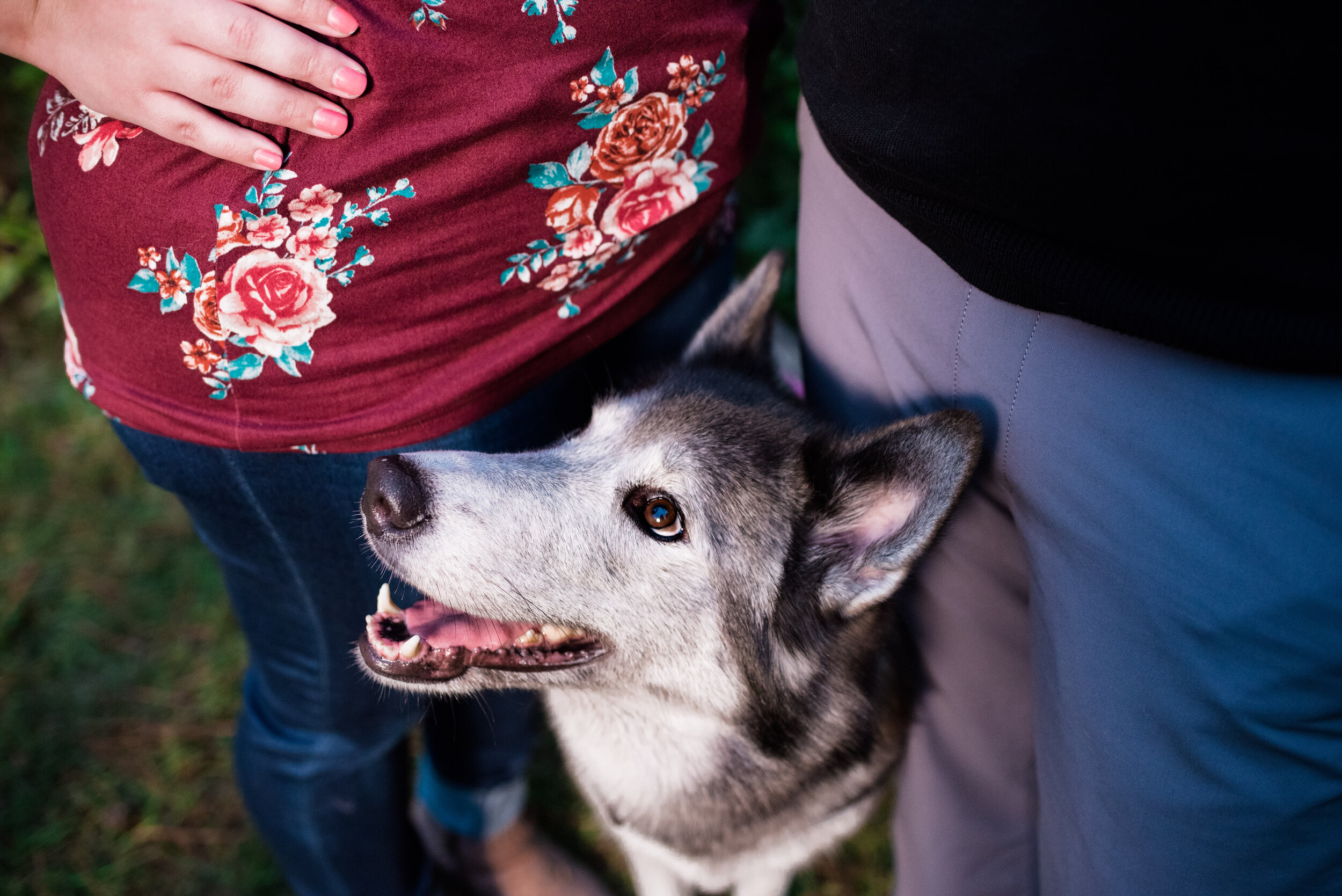 toledo gender reveal photographer