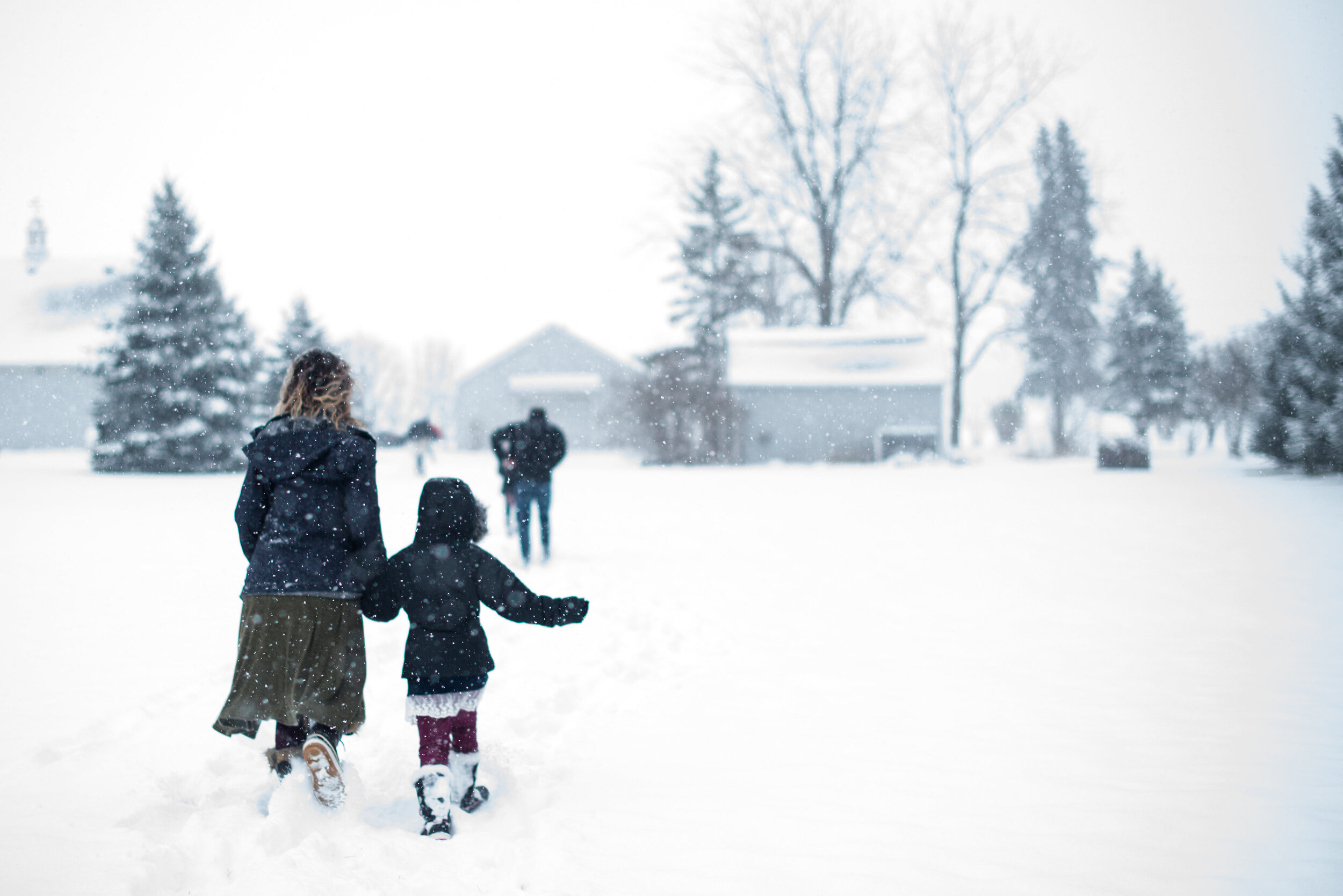 toledo family photos