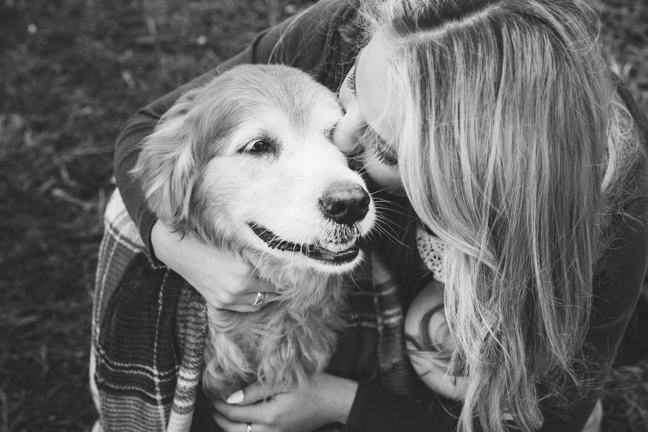 dog photography in toledo