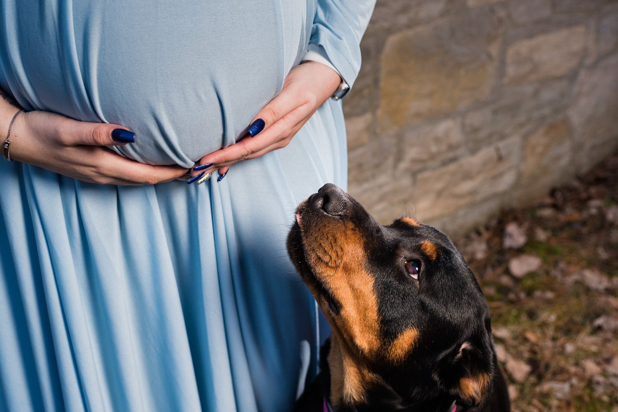 oregon ohio maternity photography
