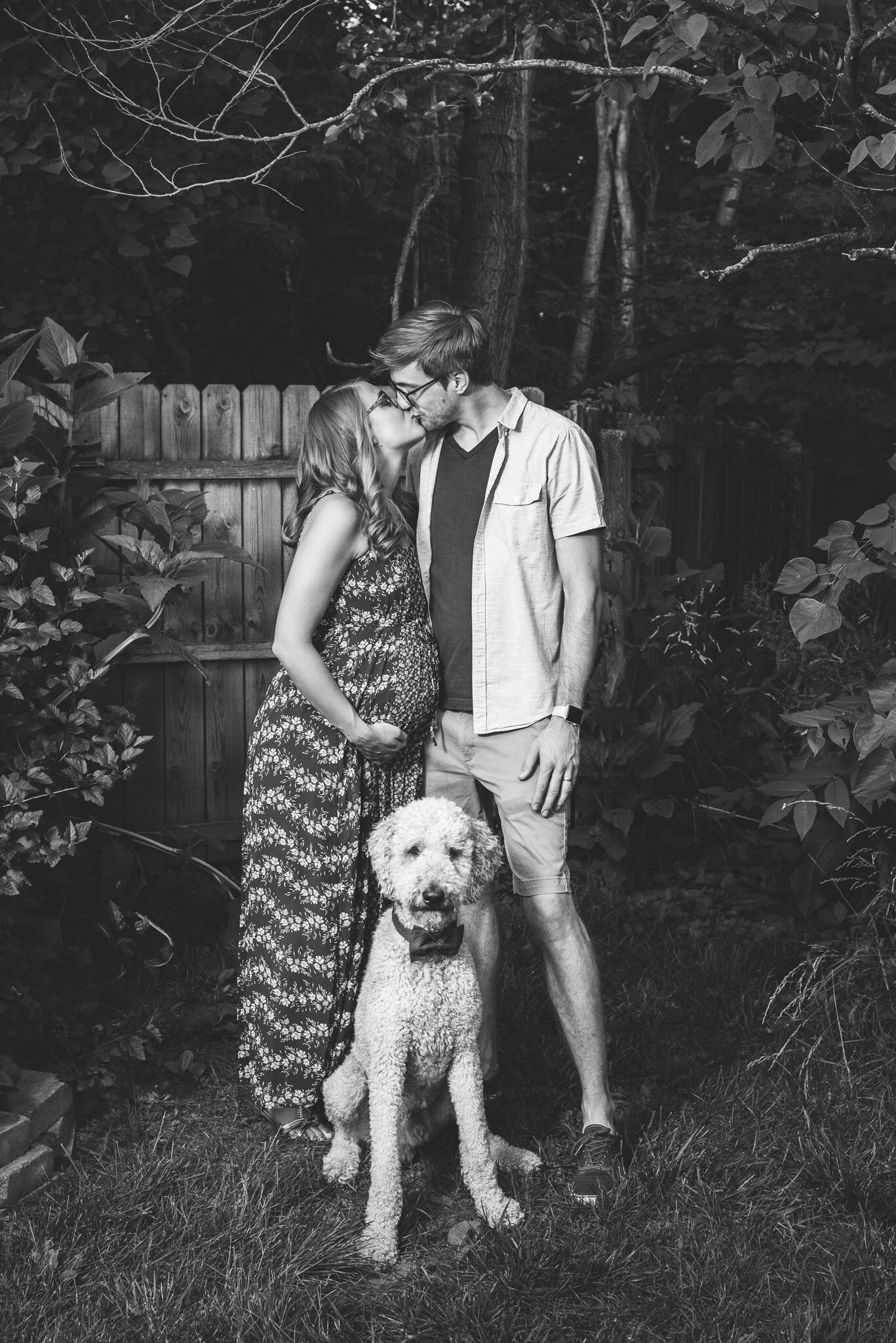 maternity photos with dogs