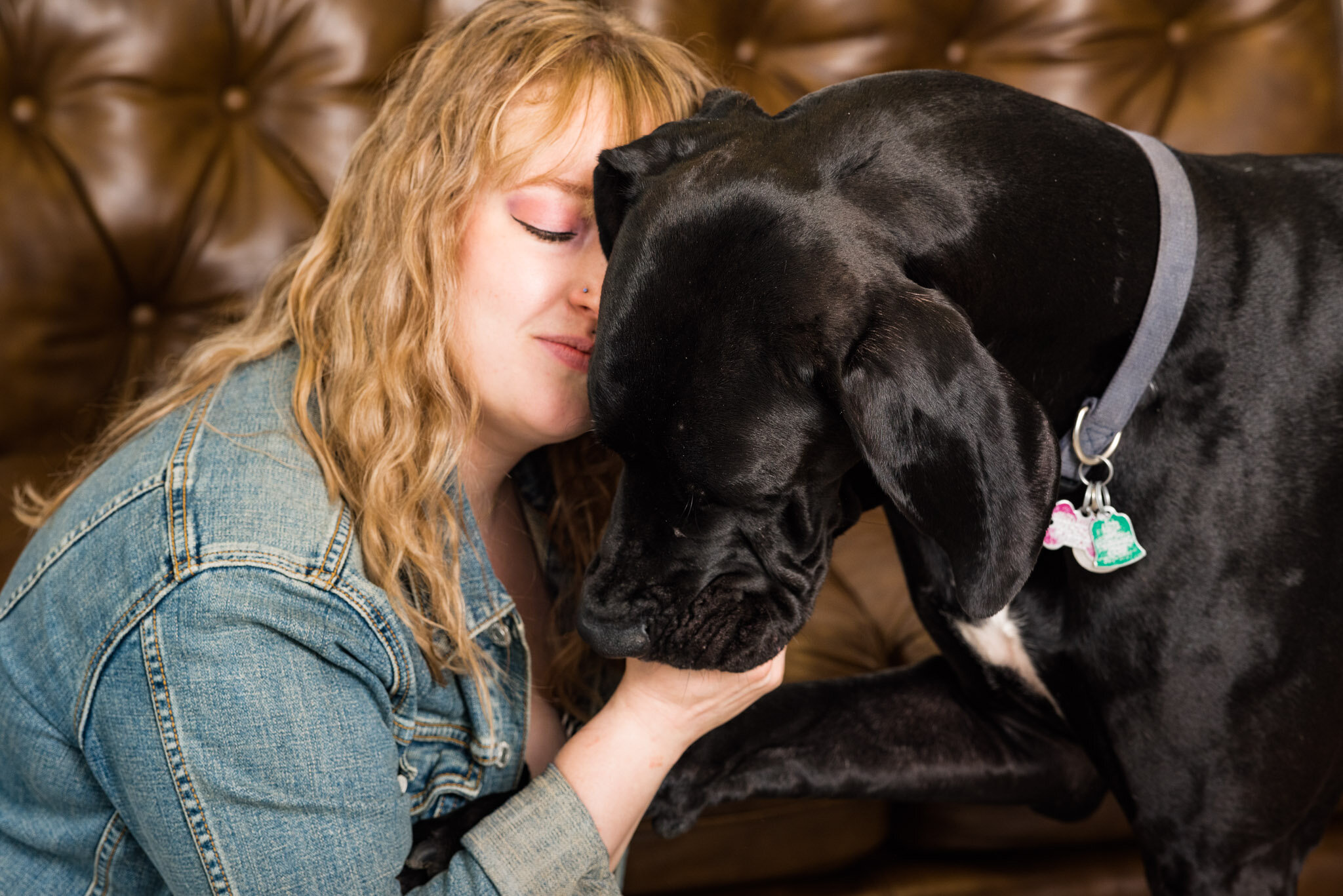 toledo dog portraits